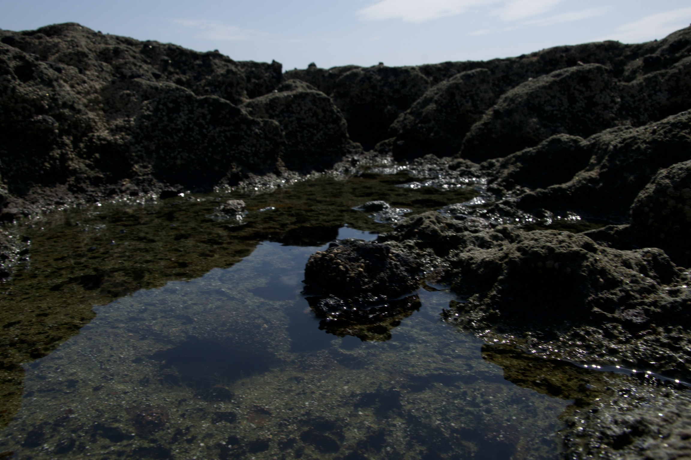 Roccia vulcanica a Sinis