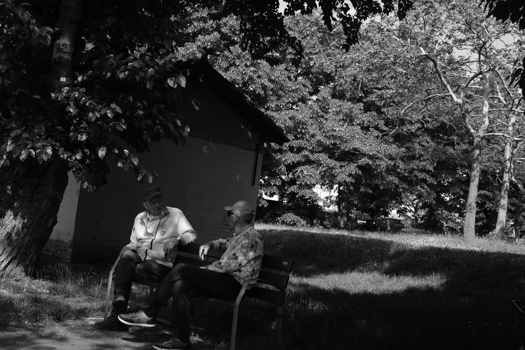 In the shade of the first warm weather