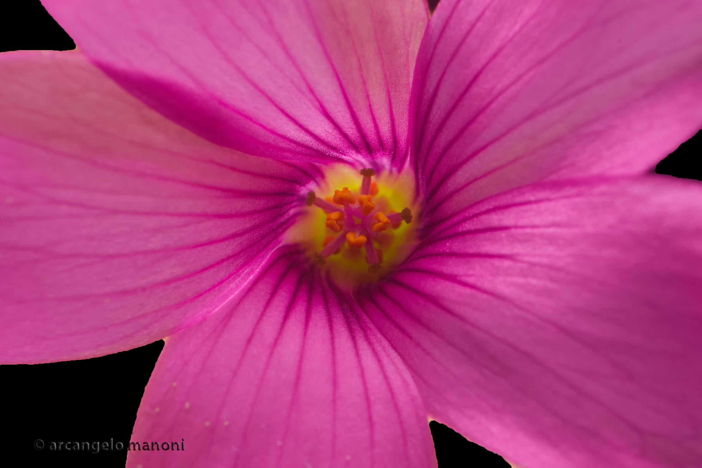 The magic of spirals