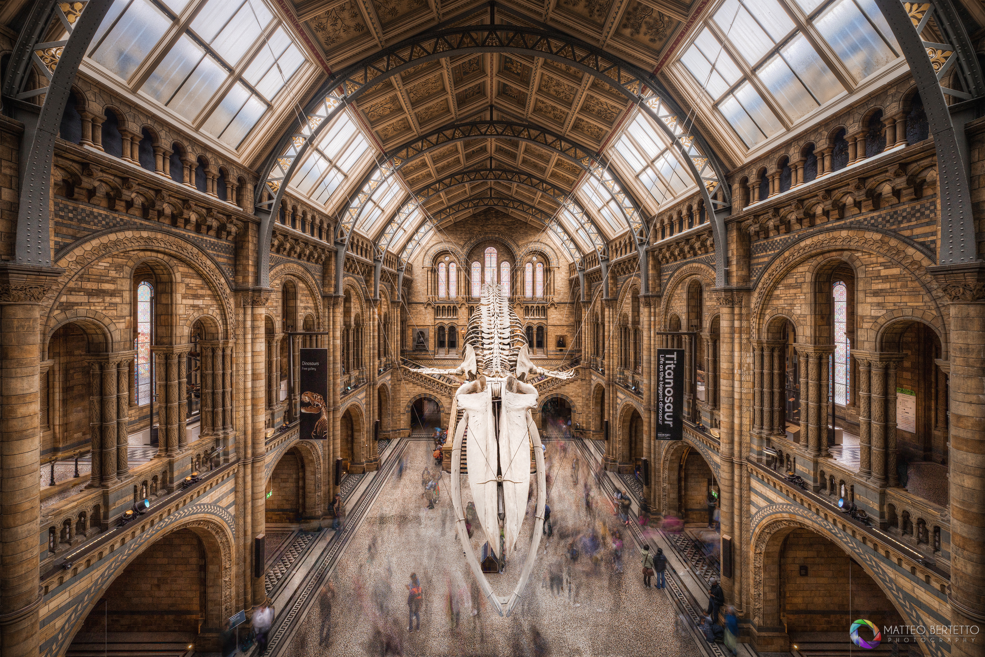 Museo di Storia Naturale - Londra