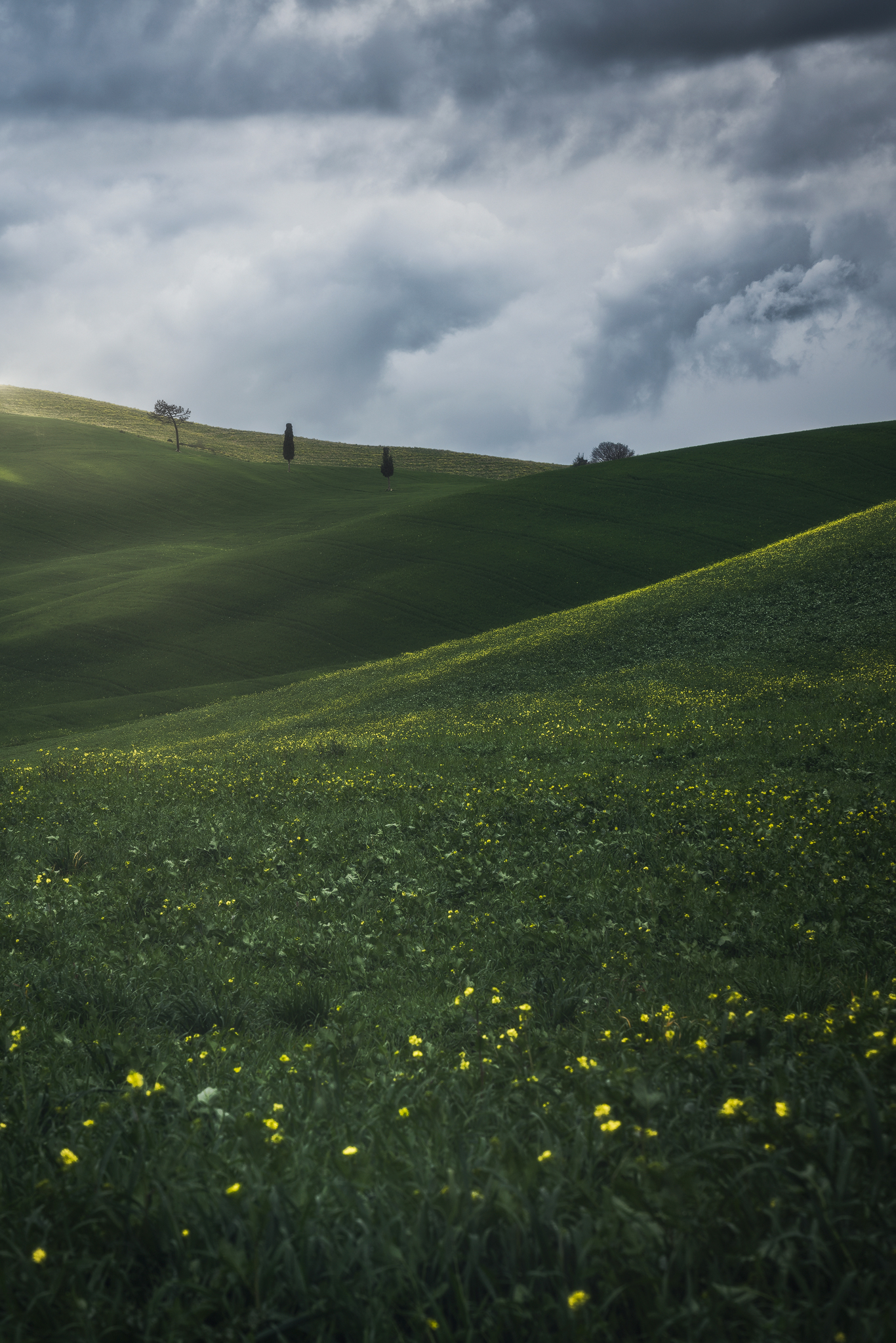 Dark Spring
