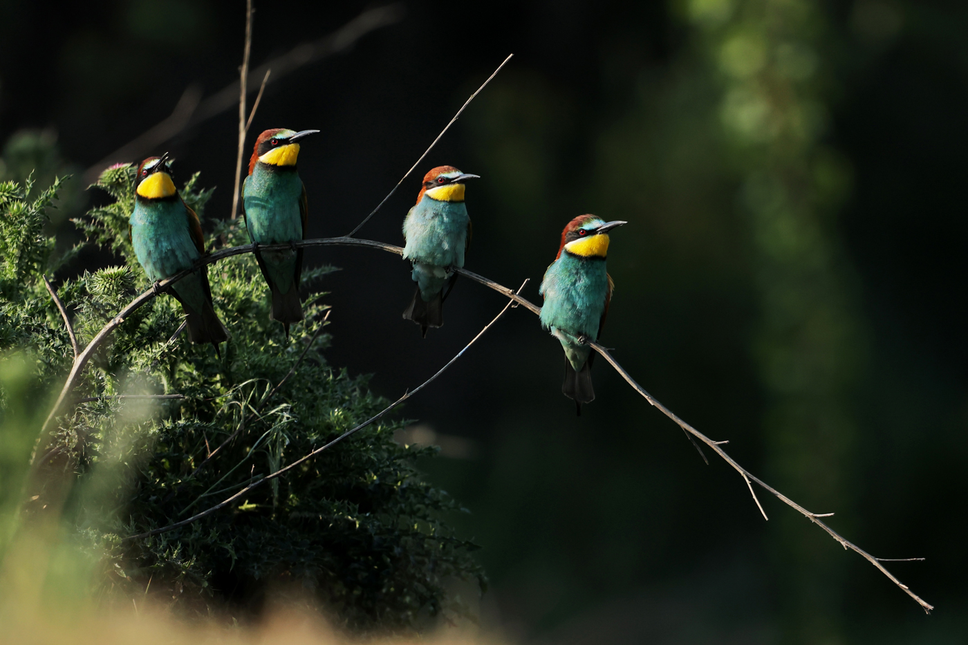 Small group