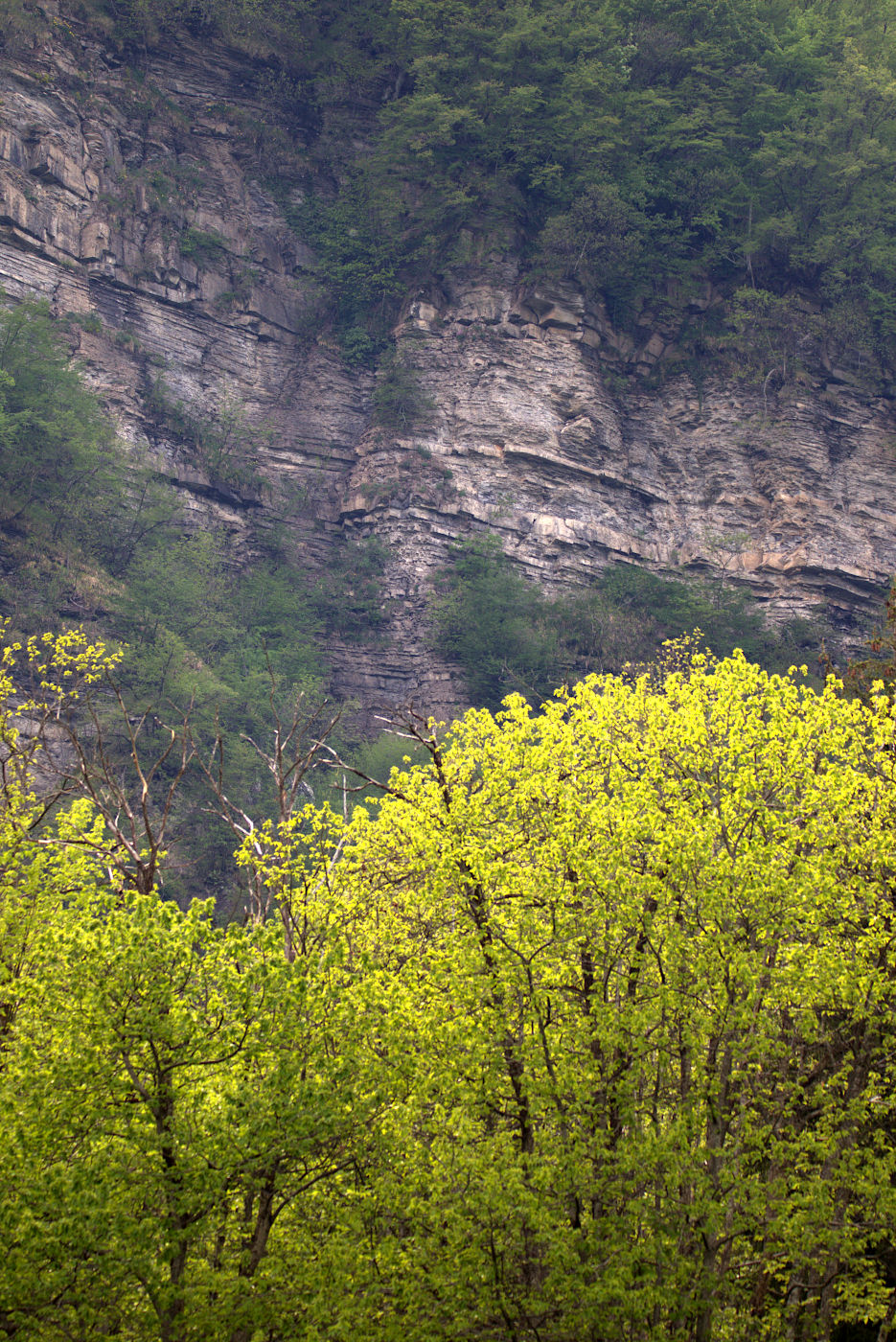 Sopra al bosco, Appennino modenese