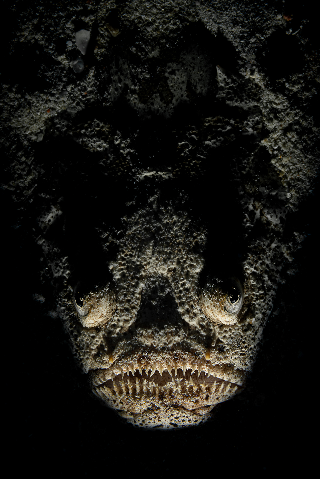 The Mask