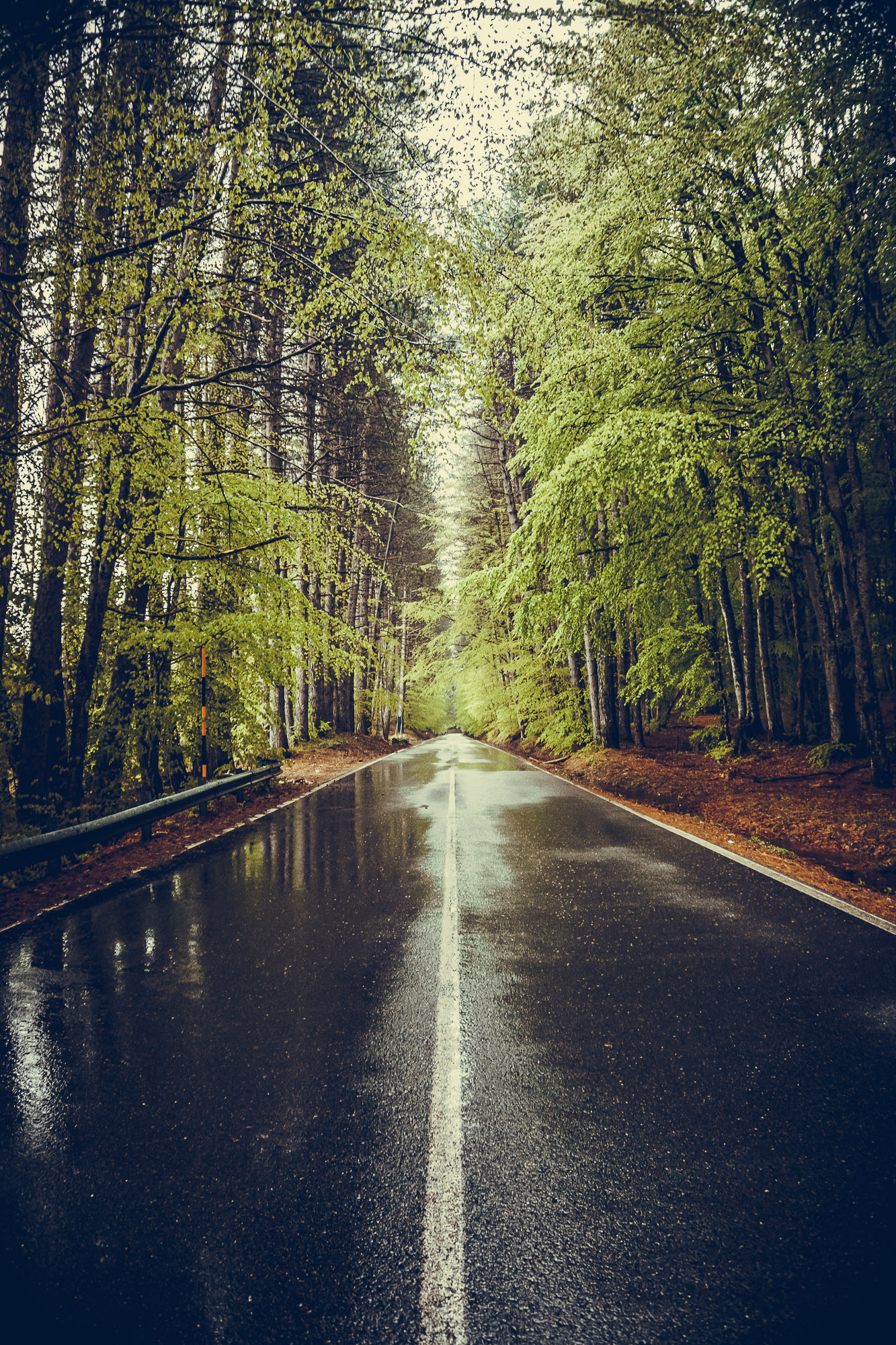 May rain