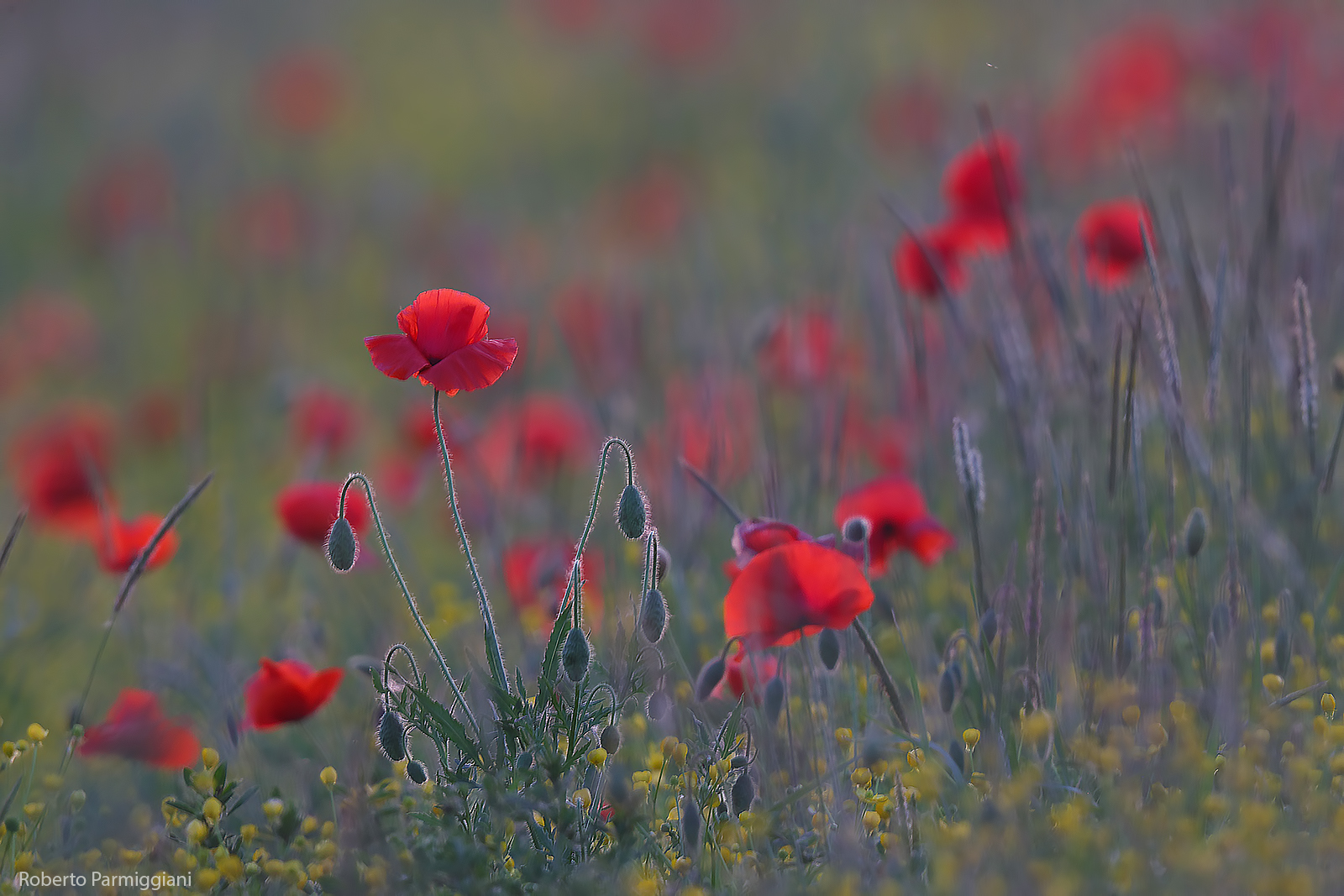 Paesaggio impressionista