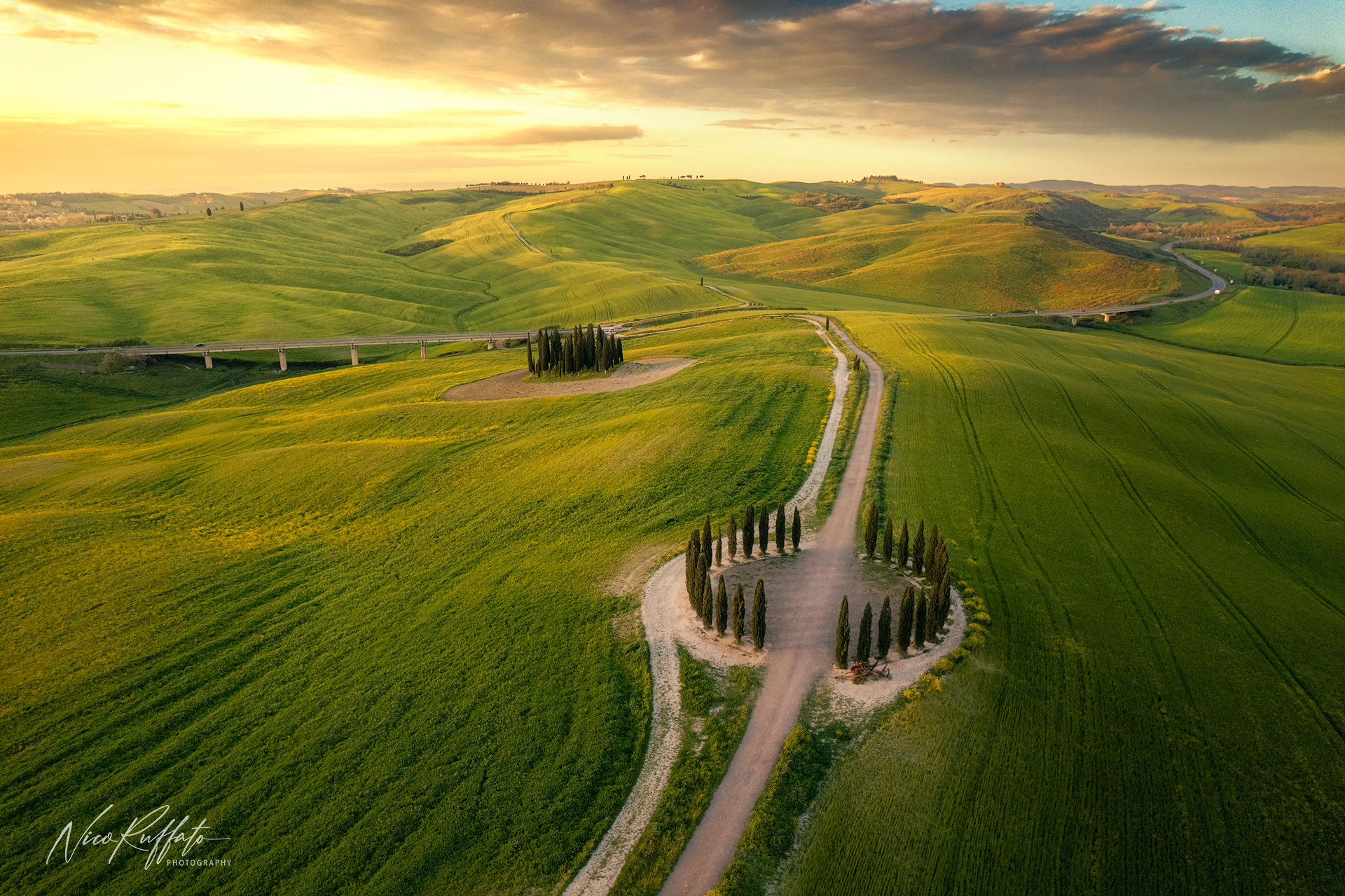 Cipressi di San Quirico