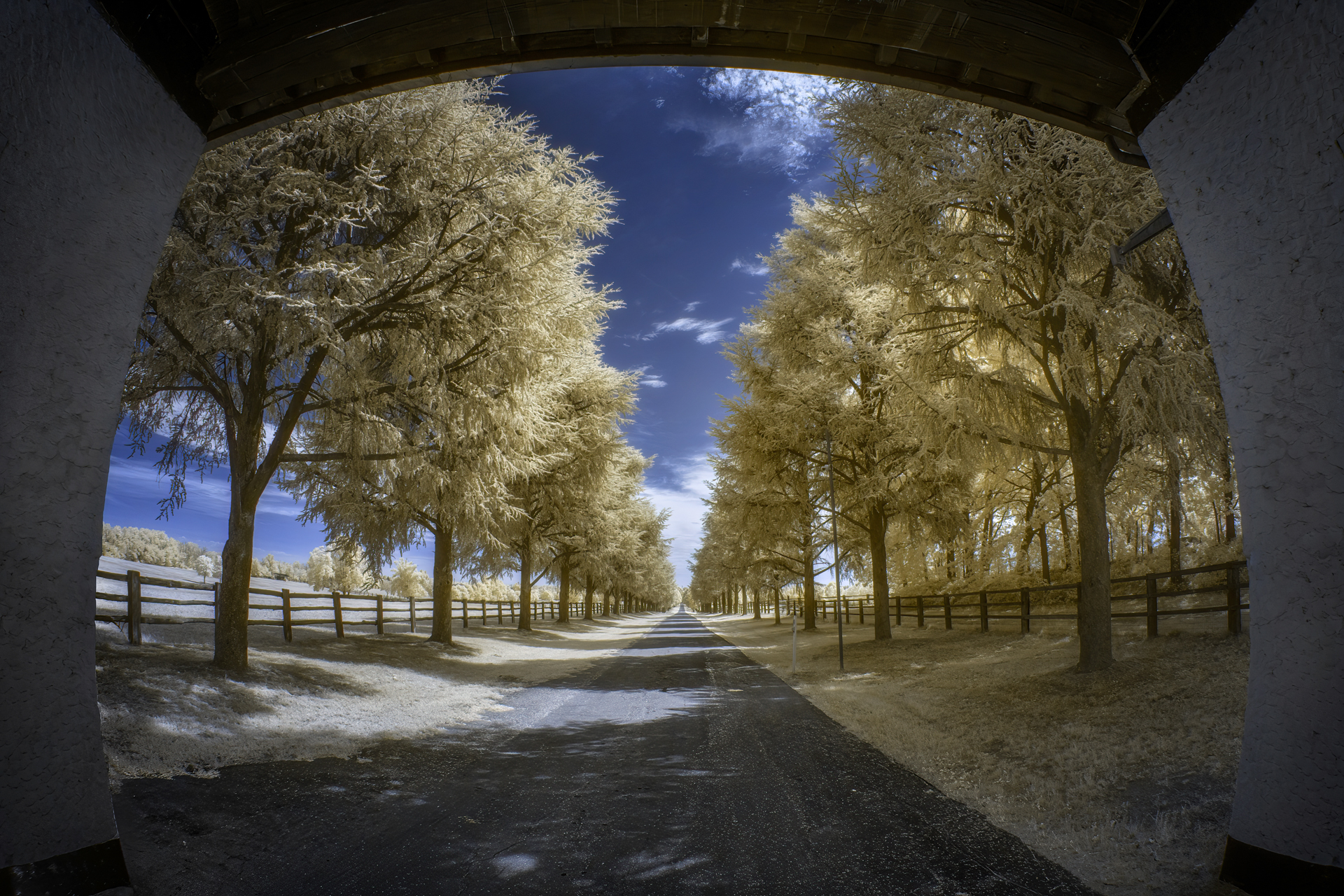 The portal