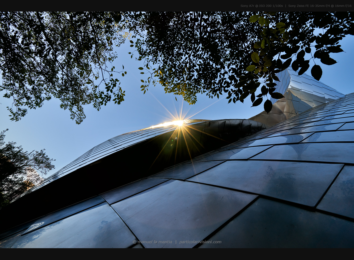 Walt Disney Concert Hall