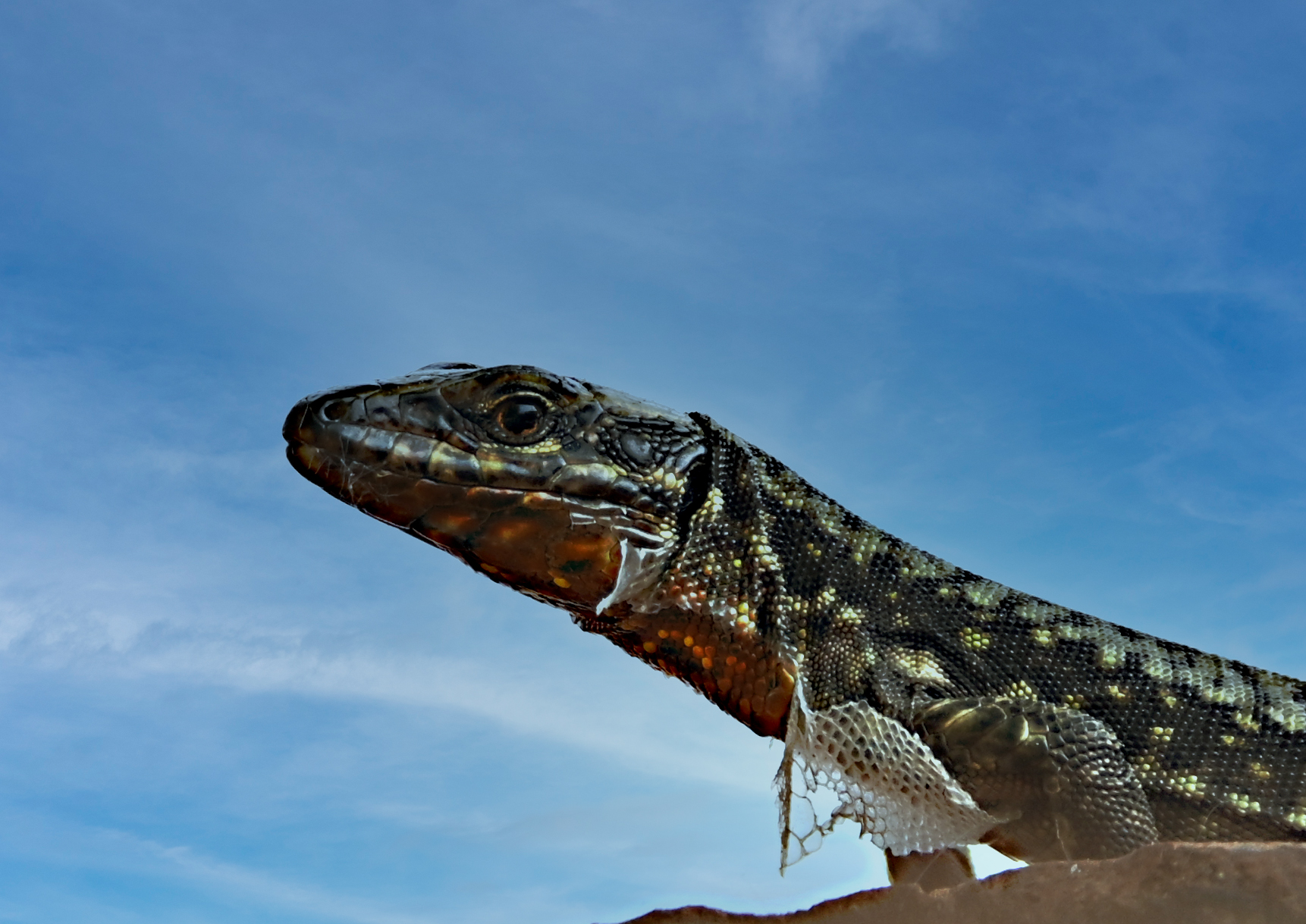 Girati! Mi sto cambiando.