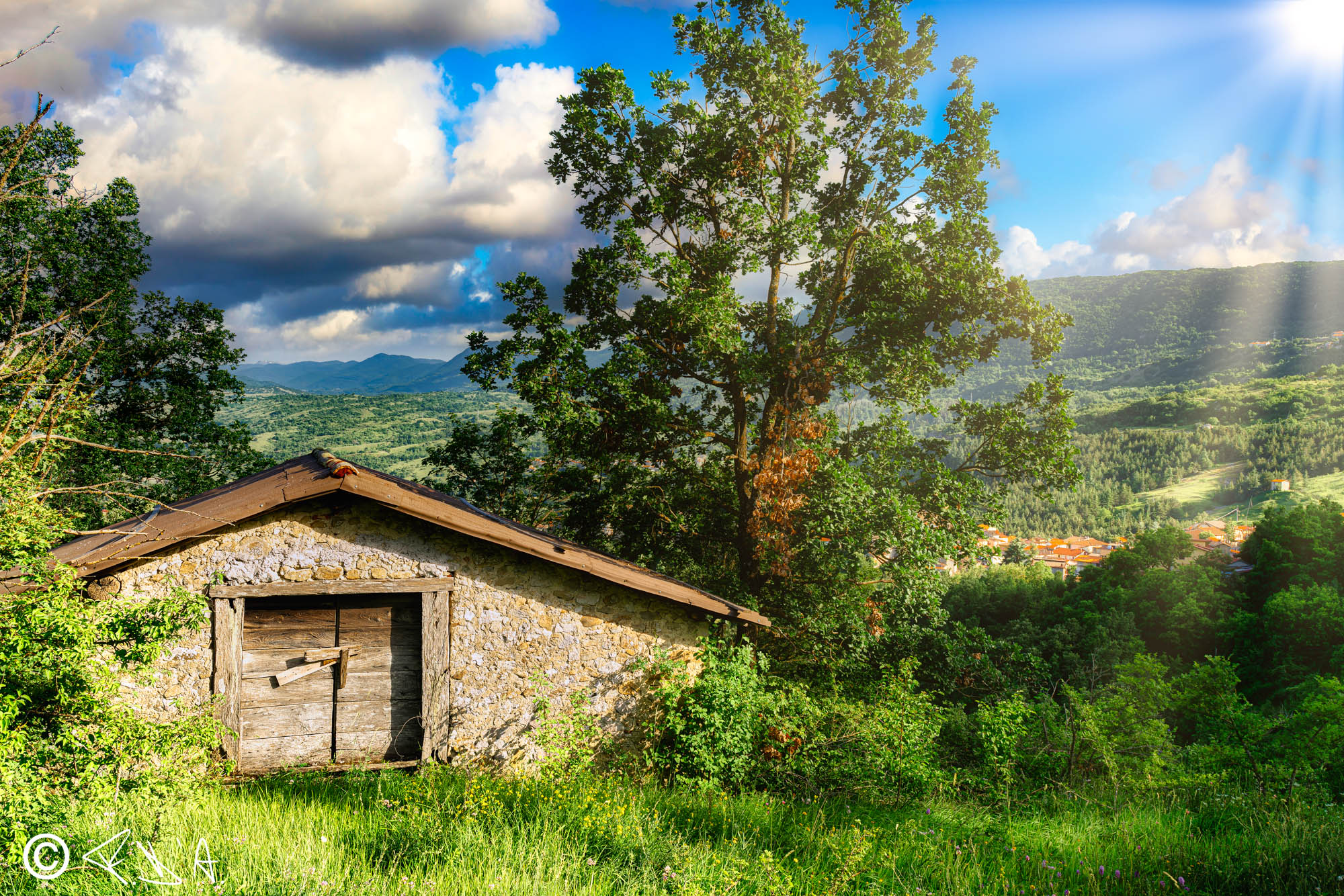 On grassy pastures he makes me rest, he is my shepherd