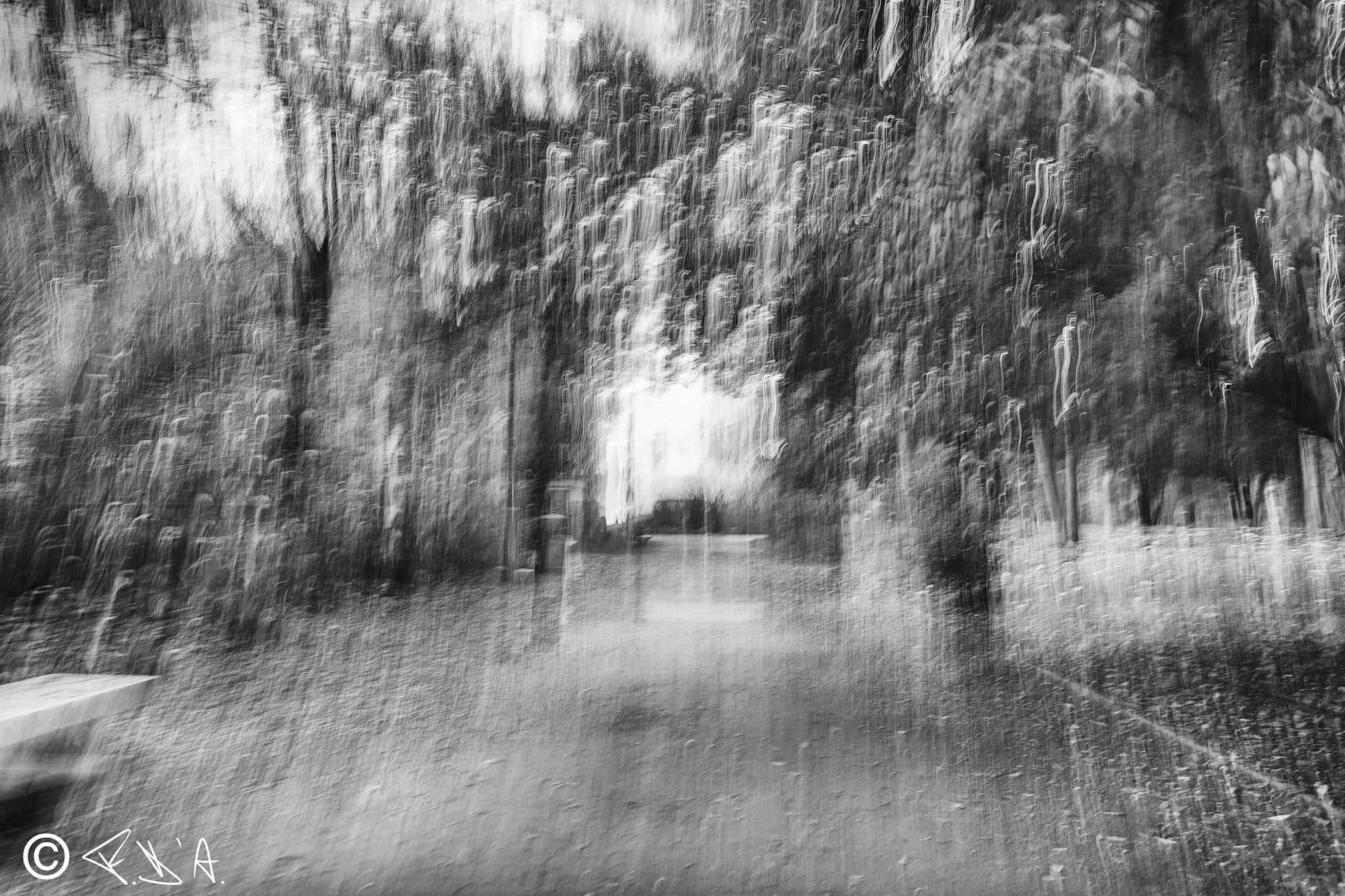 Peregrina oscillation 1