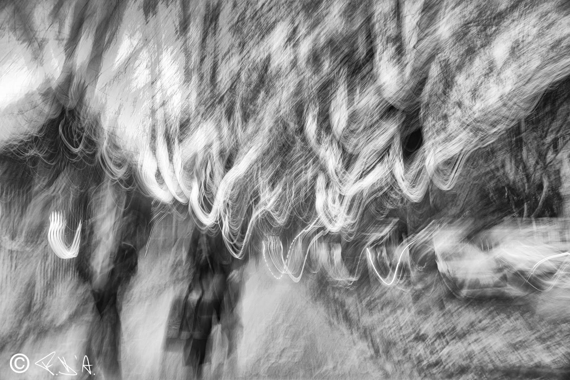 Peregrina oscillation 3