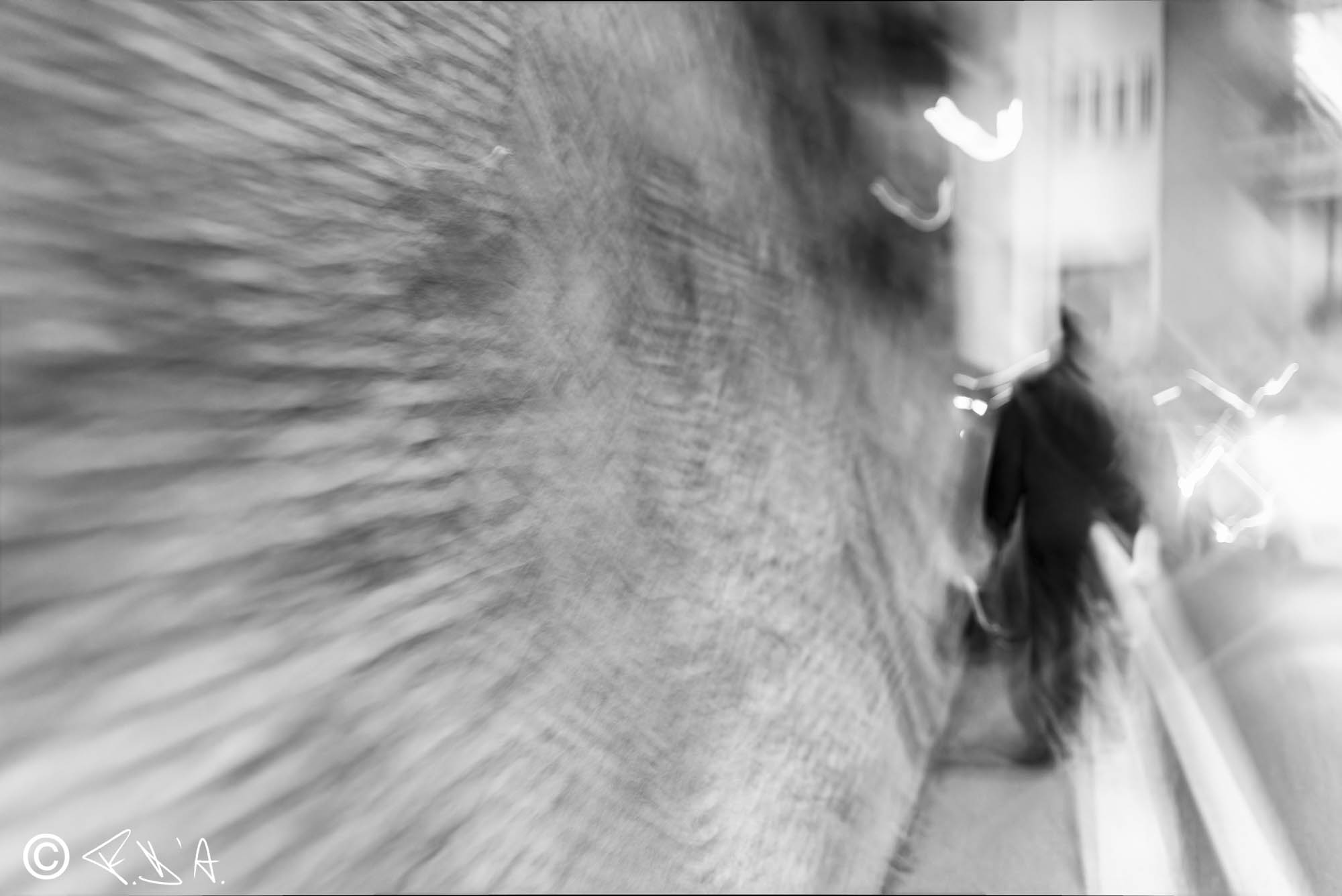 Peregrina oscillation 6