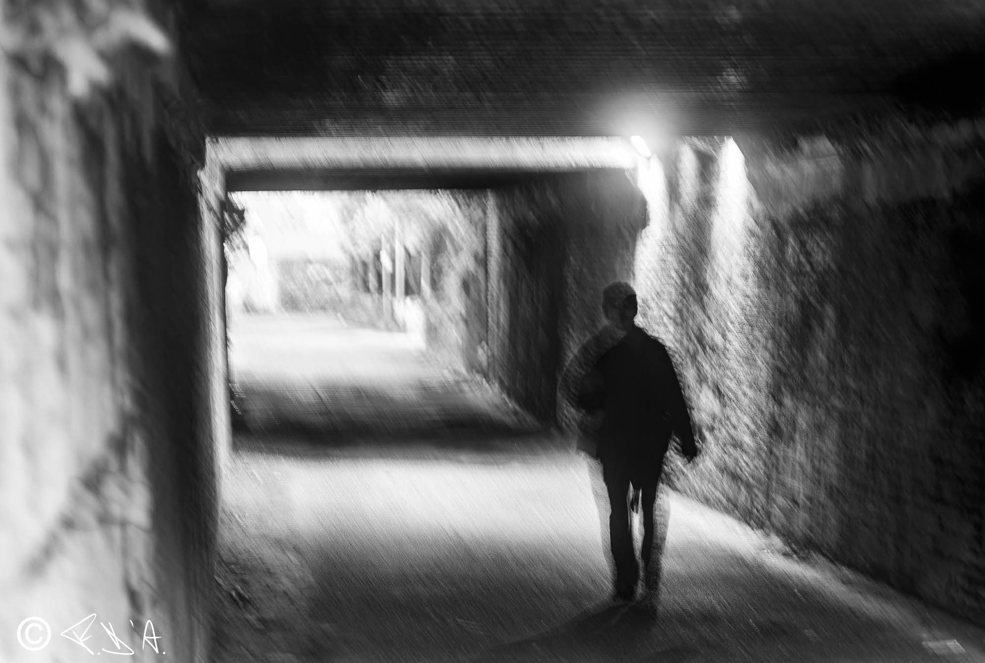 Peregrina oscillation 7