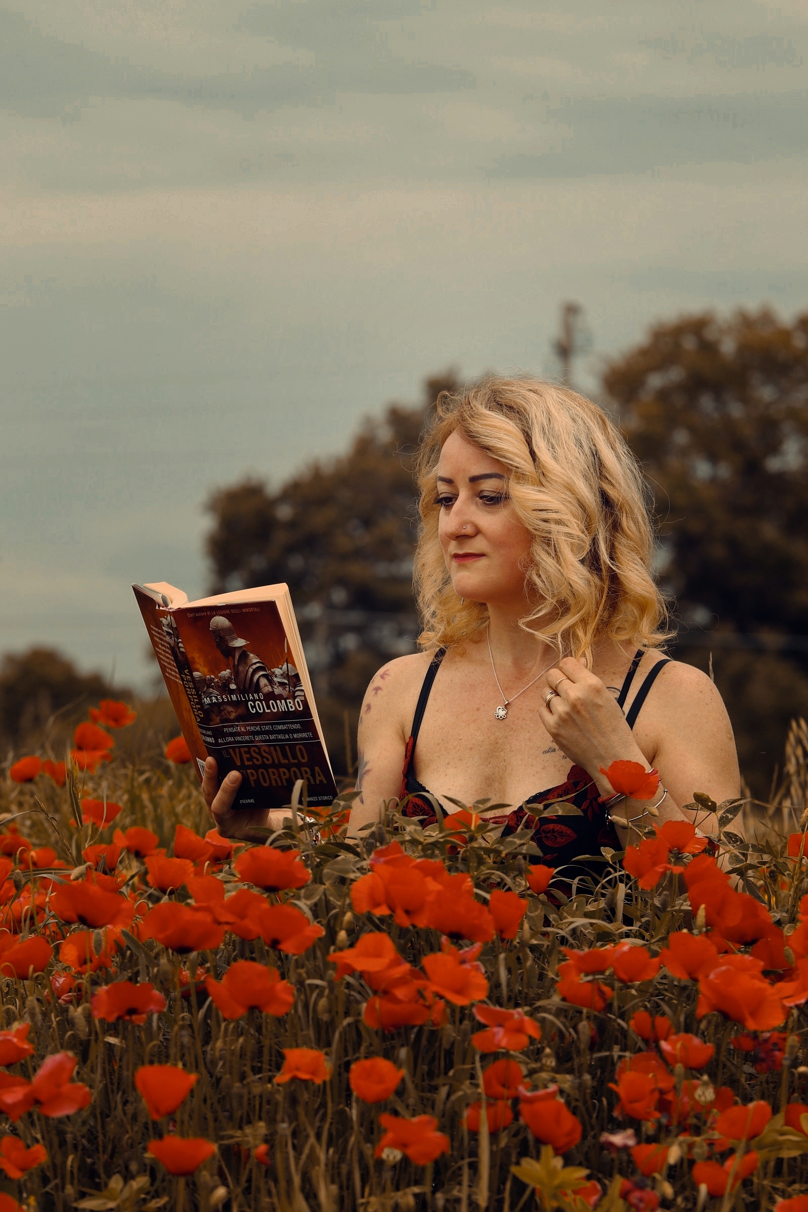Poppy field