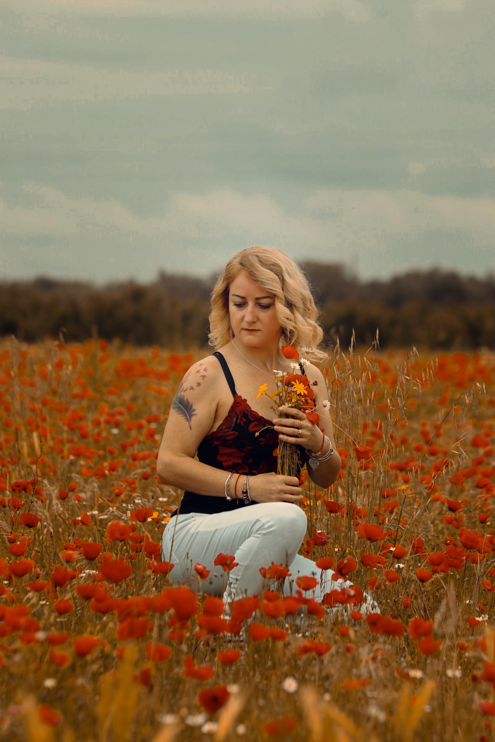 Poppy field