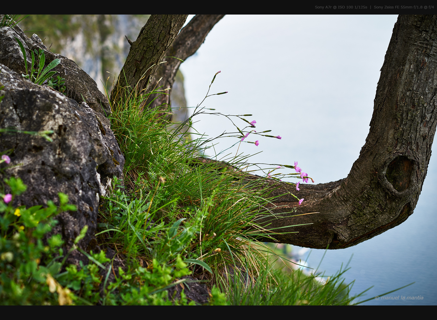 Griante - San Martino