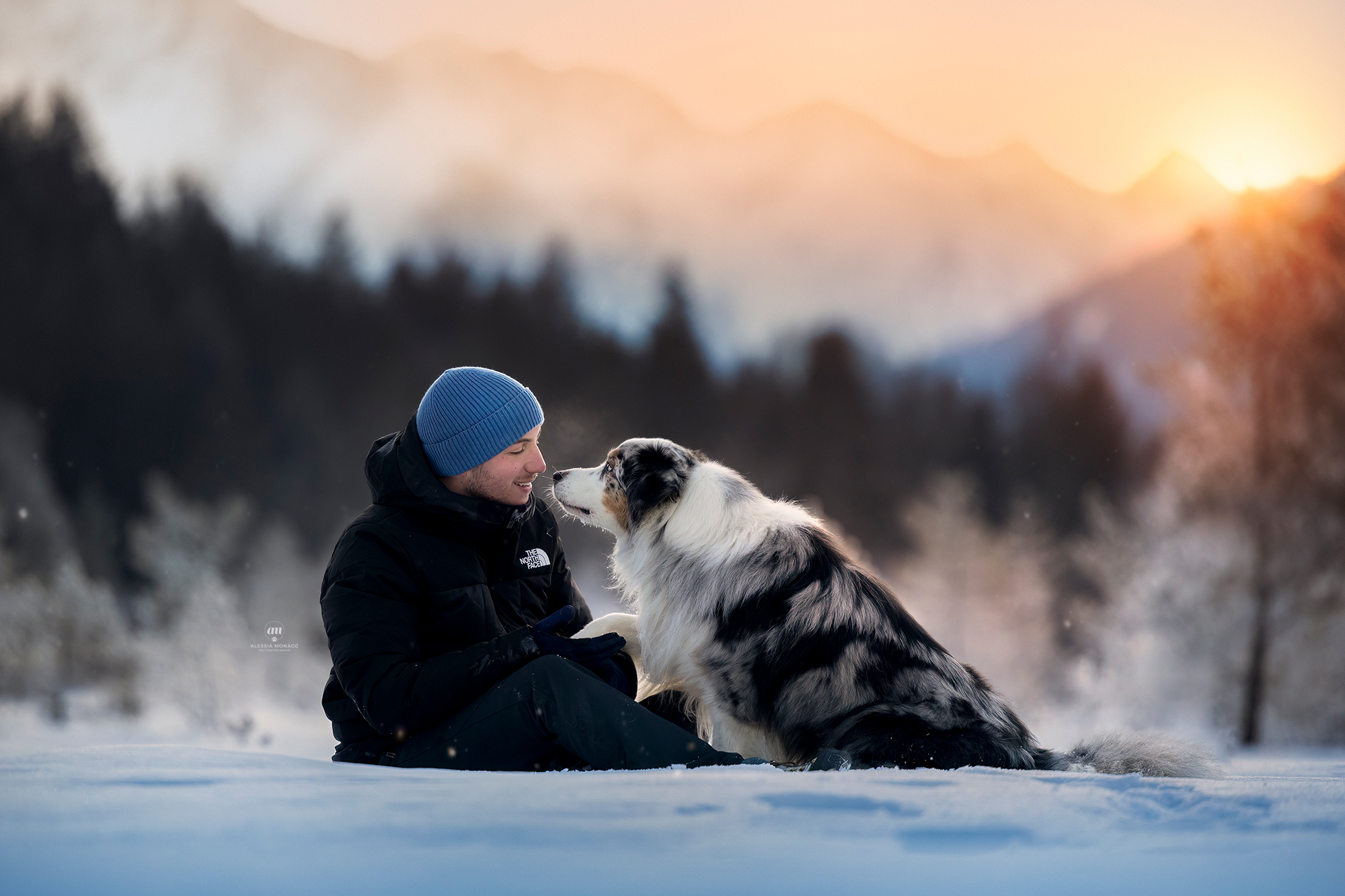 Do you love me? No I'm just cold