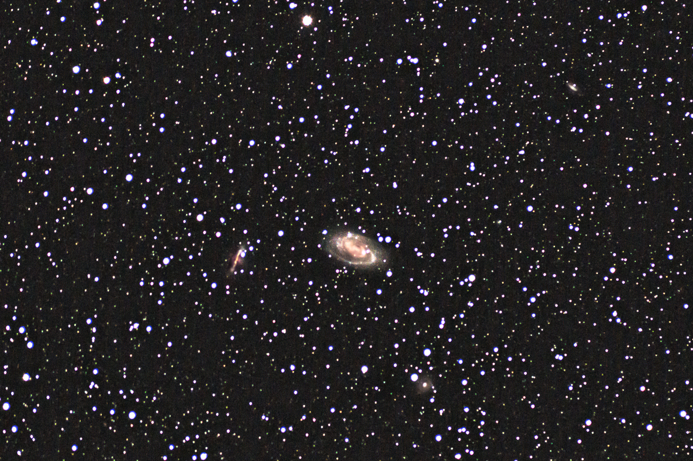 M81