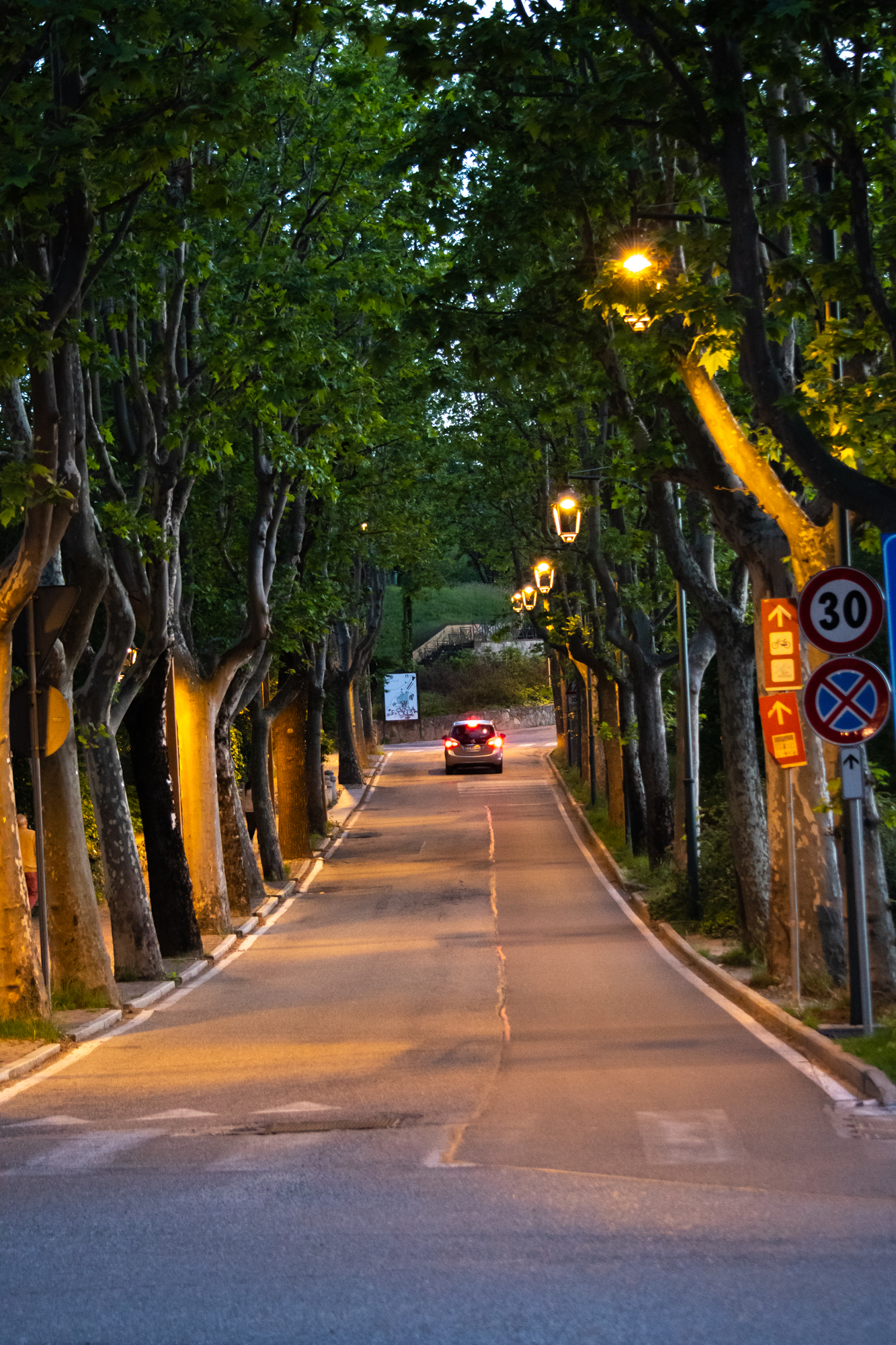 viale alberato