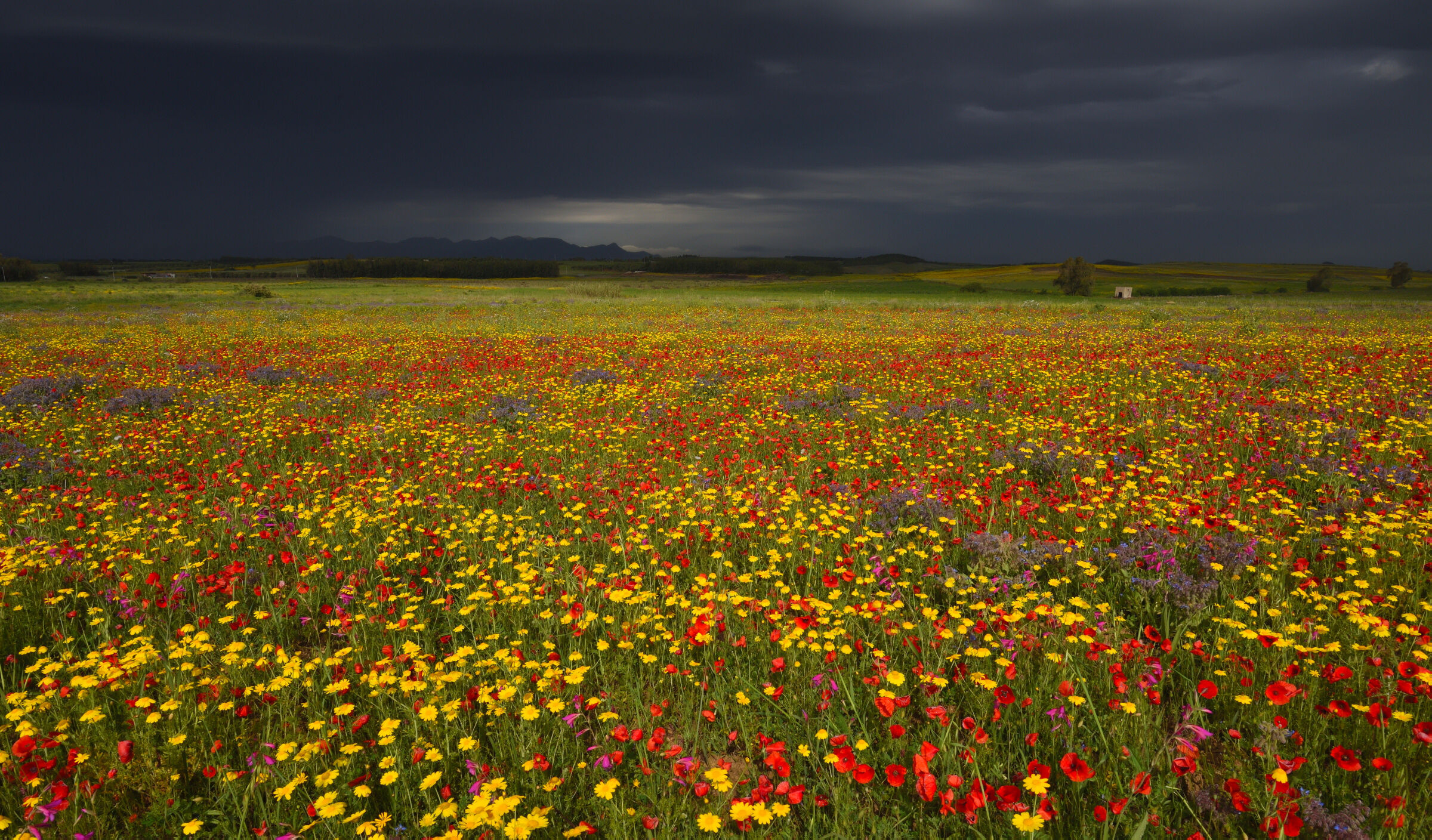 La "quiete" prima della tempesta ...