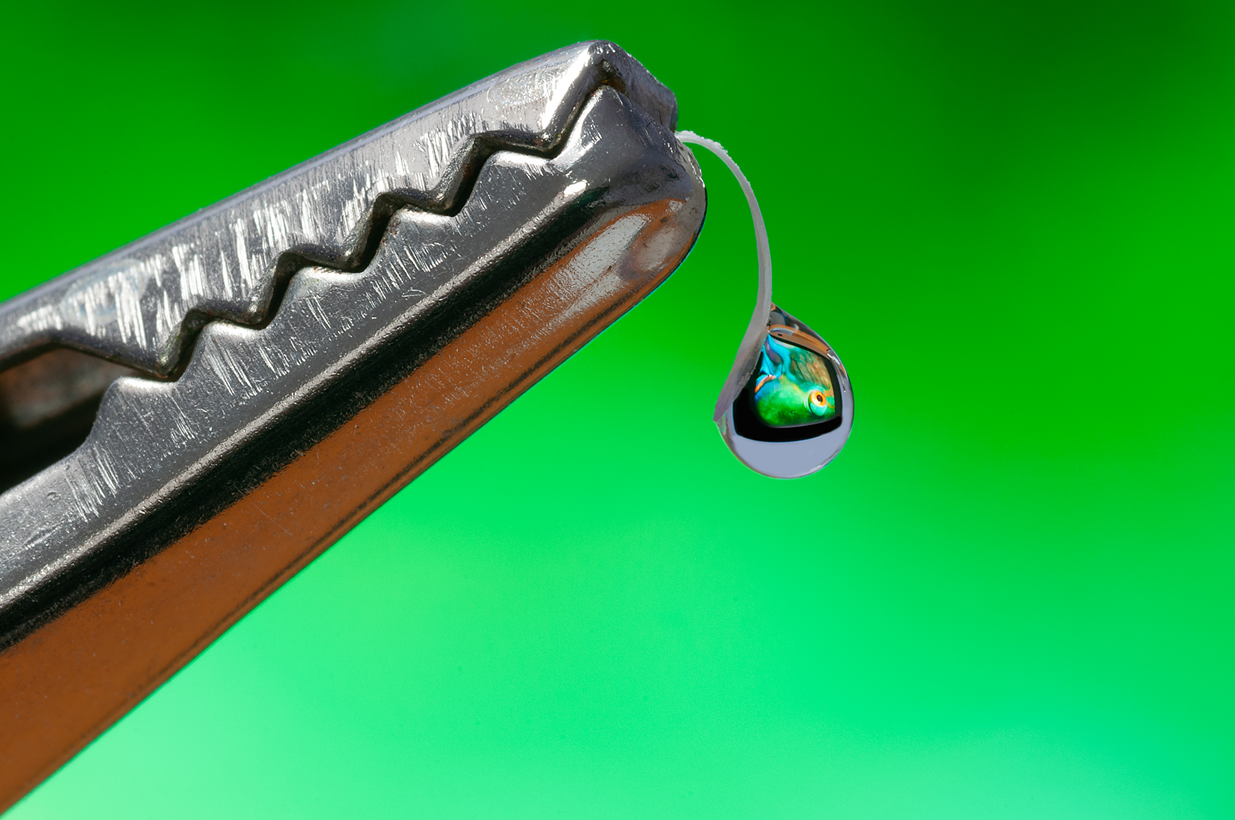 lacrime di coccodrillo