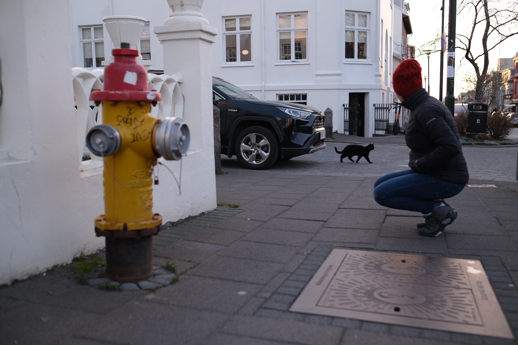 Greetings from Reykjavík!
