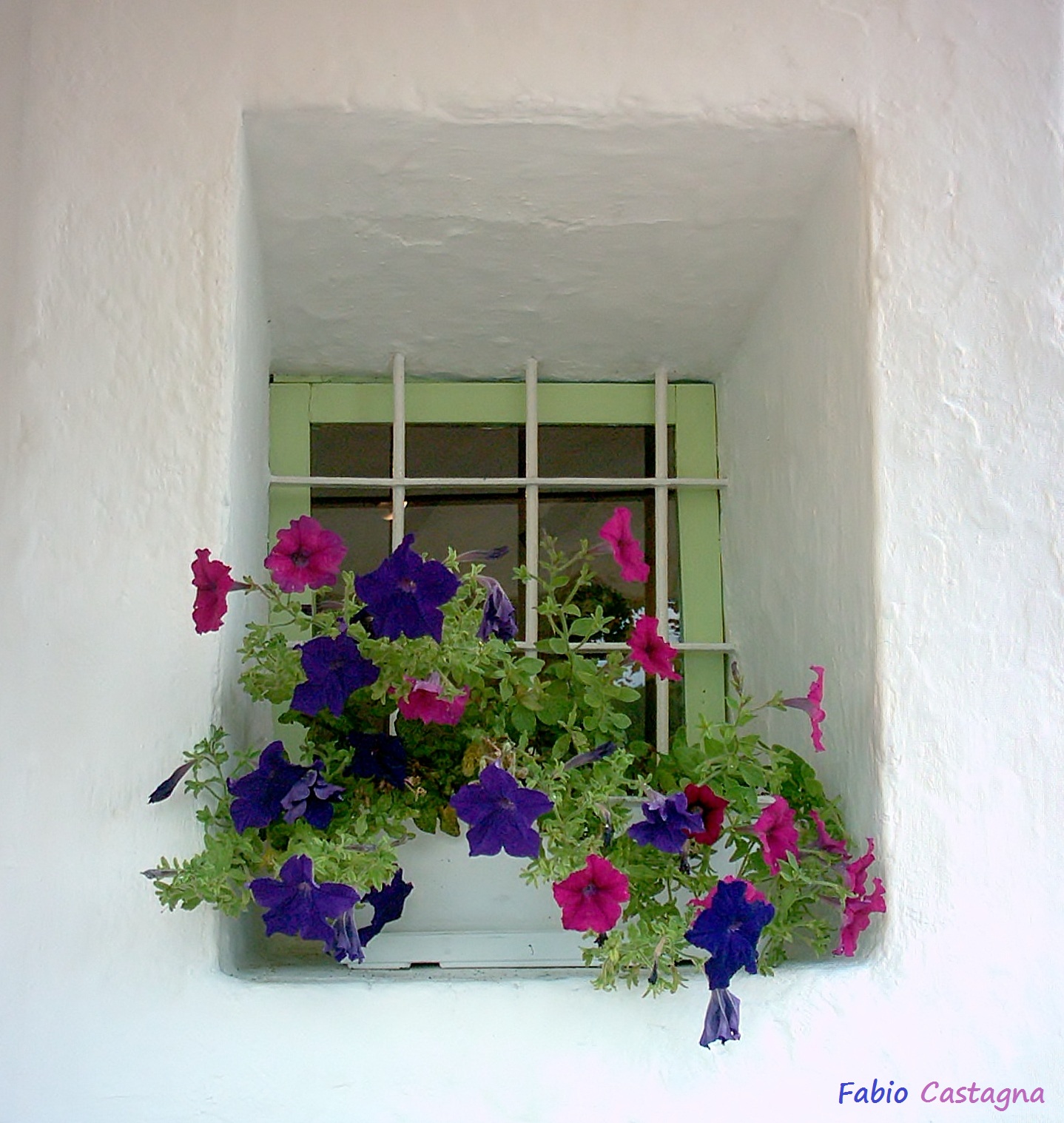 The colored window