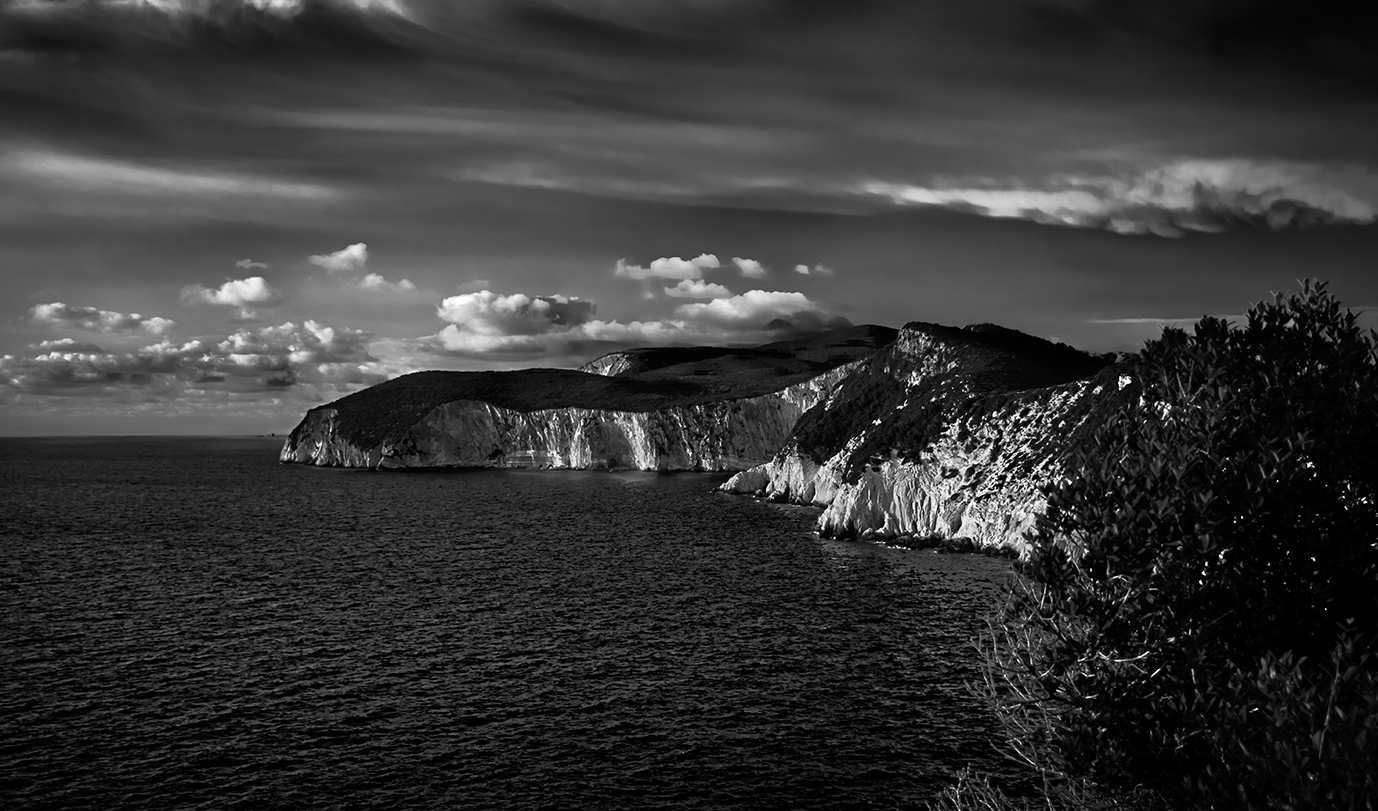 Untitled Photo