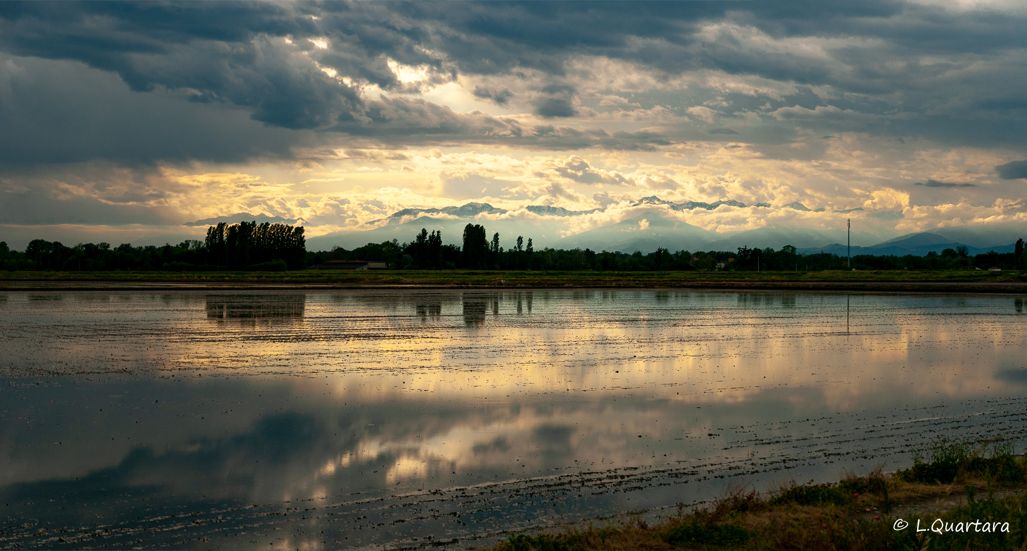risaie al tramonto