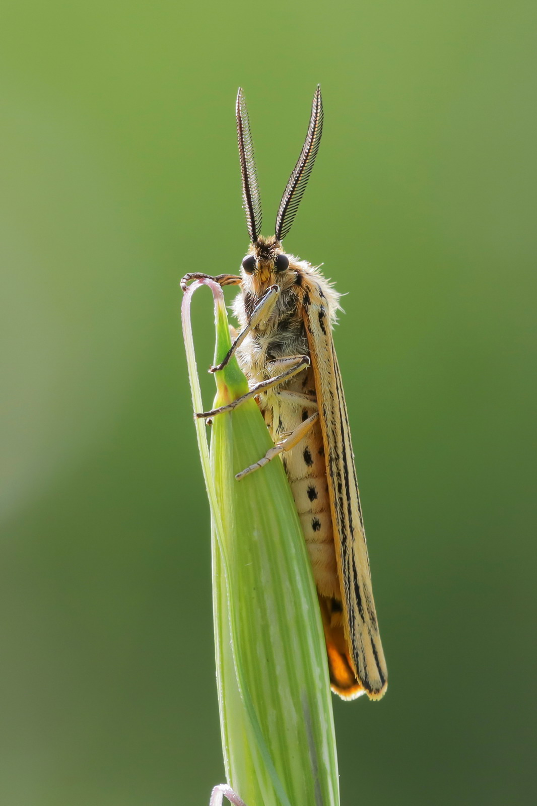 When they take a treacherous picture of you...