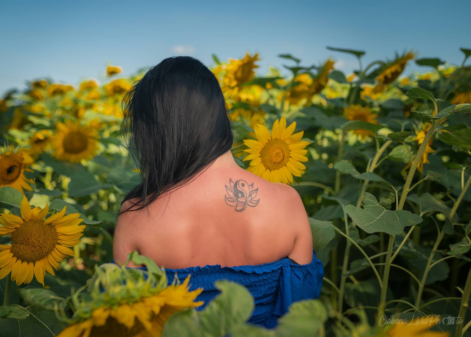 Un fiore tra i girasoli...