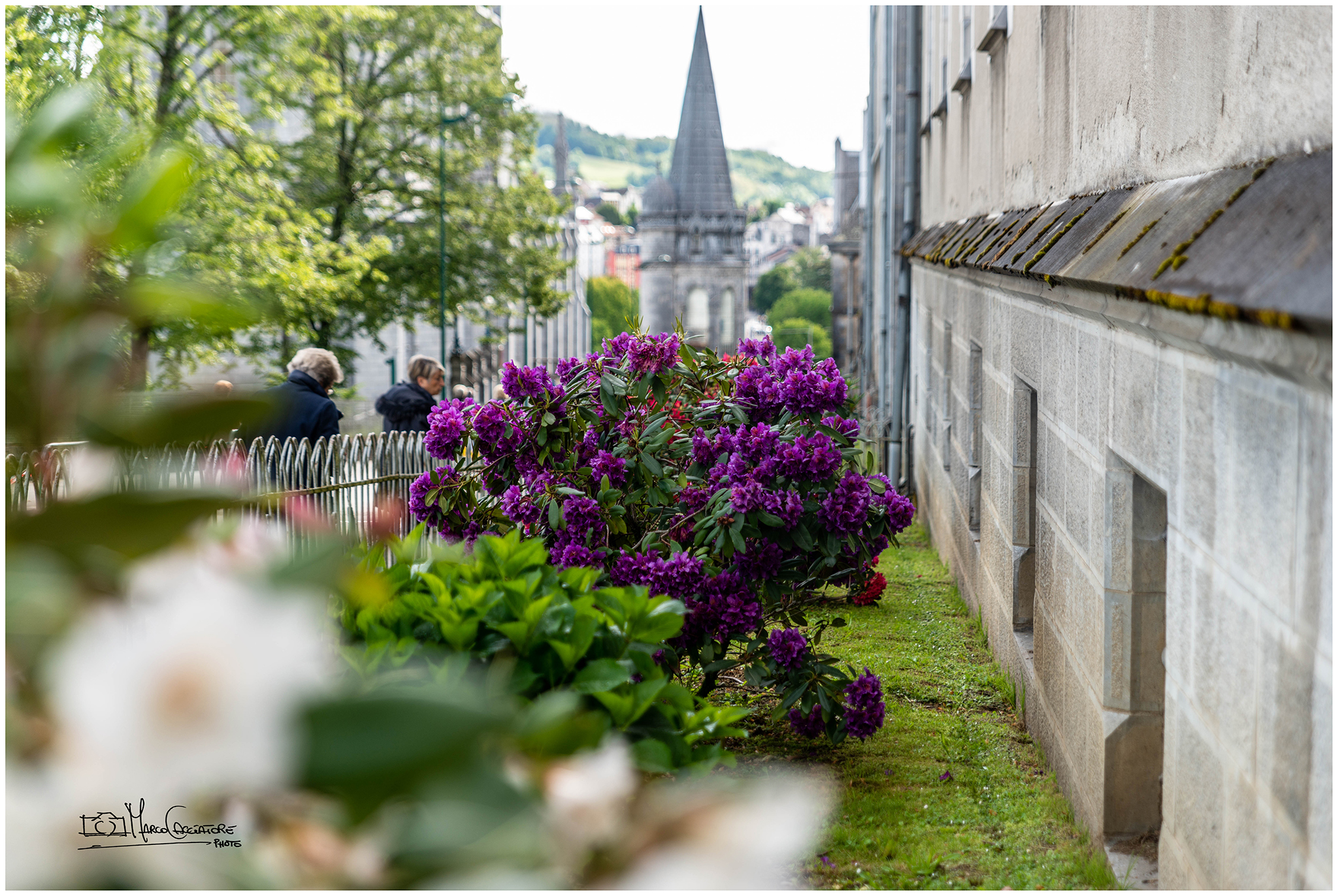 Lourdes Landscape