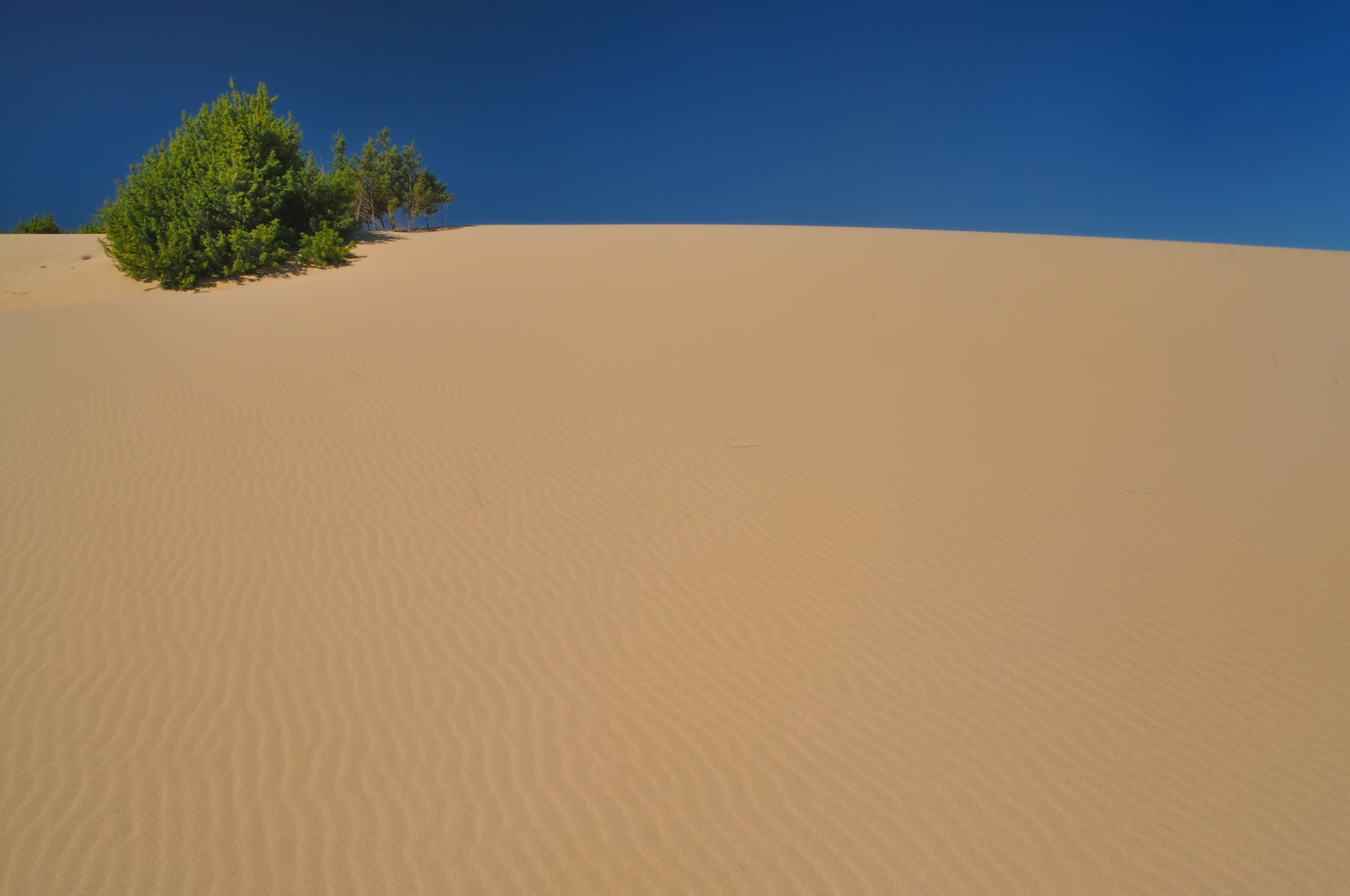 Dune di Piscinas - Arbus