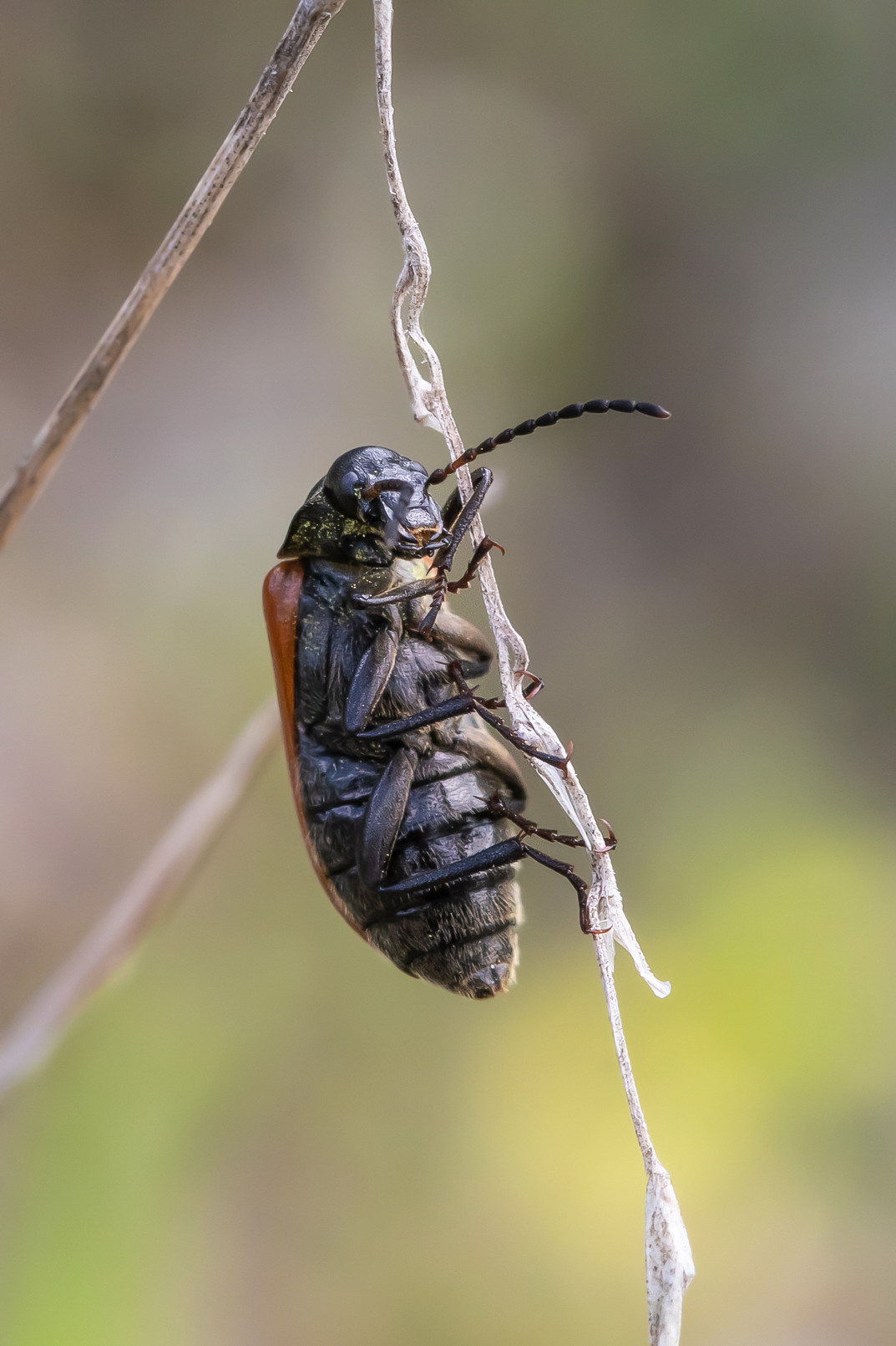 Help, I don't know how to get off anymore!