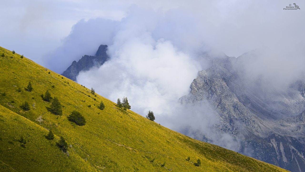 Mists in the mountains