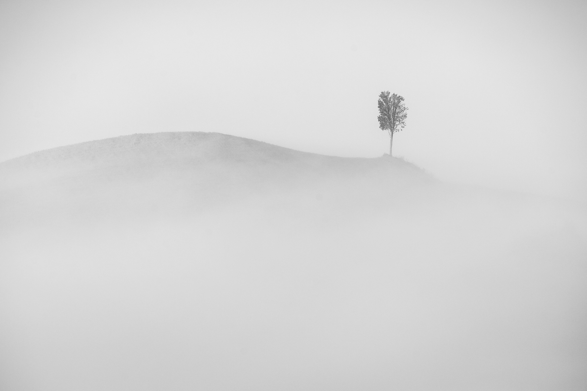 The solitaire