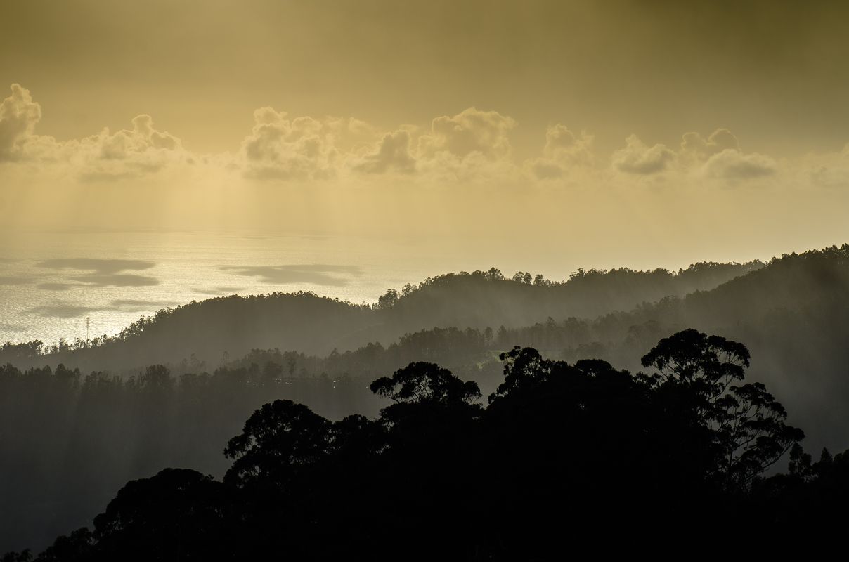 Sulla strada che da Boca dos Namorados
