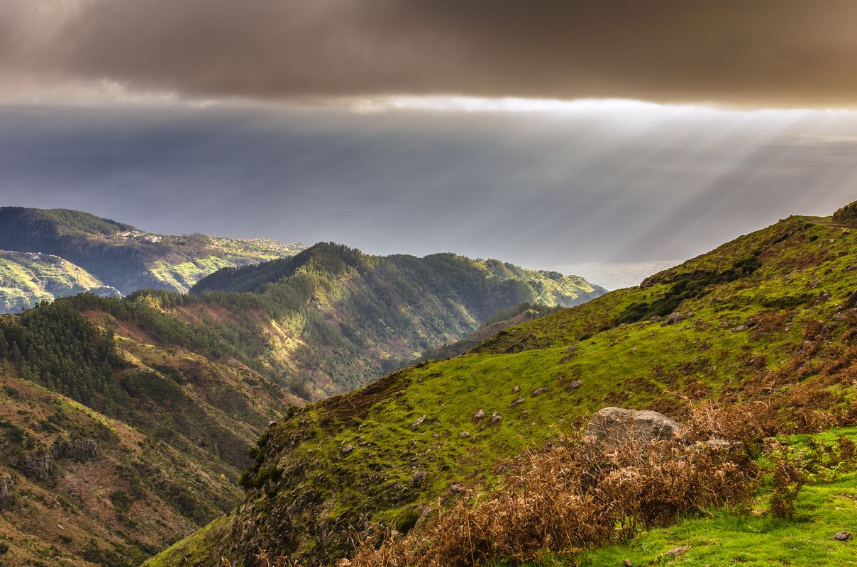 Madeira - Paul da Serra