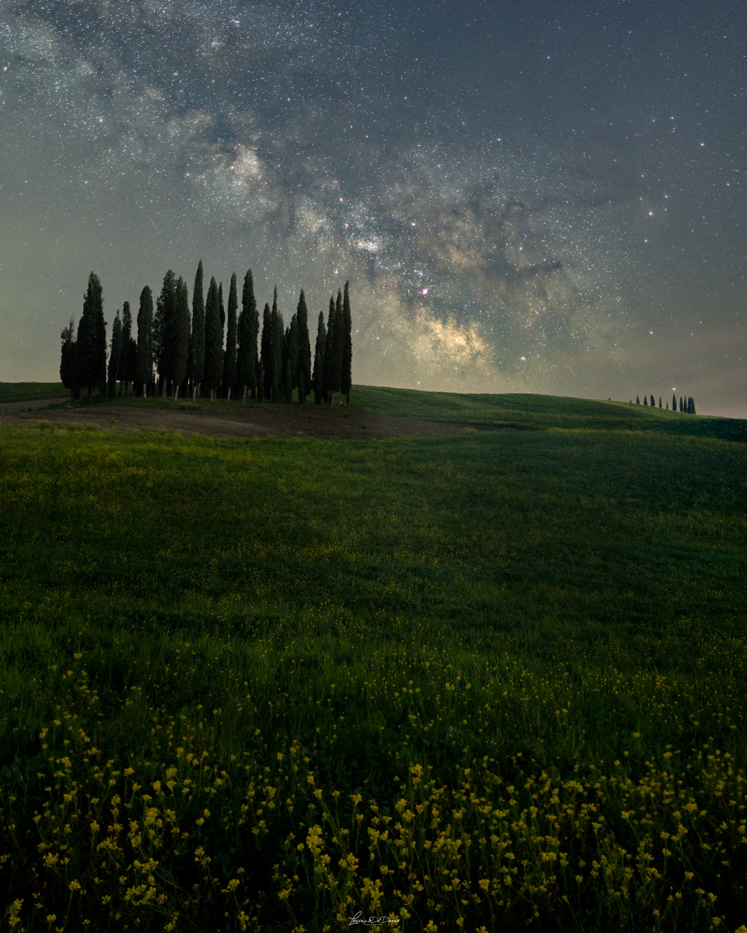 A classic - Cypresses