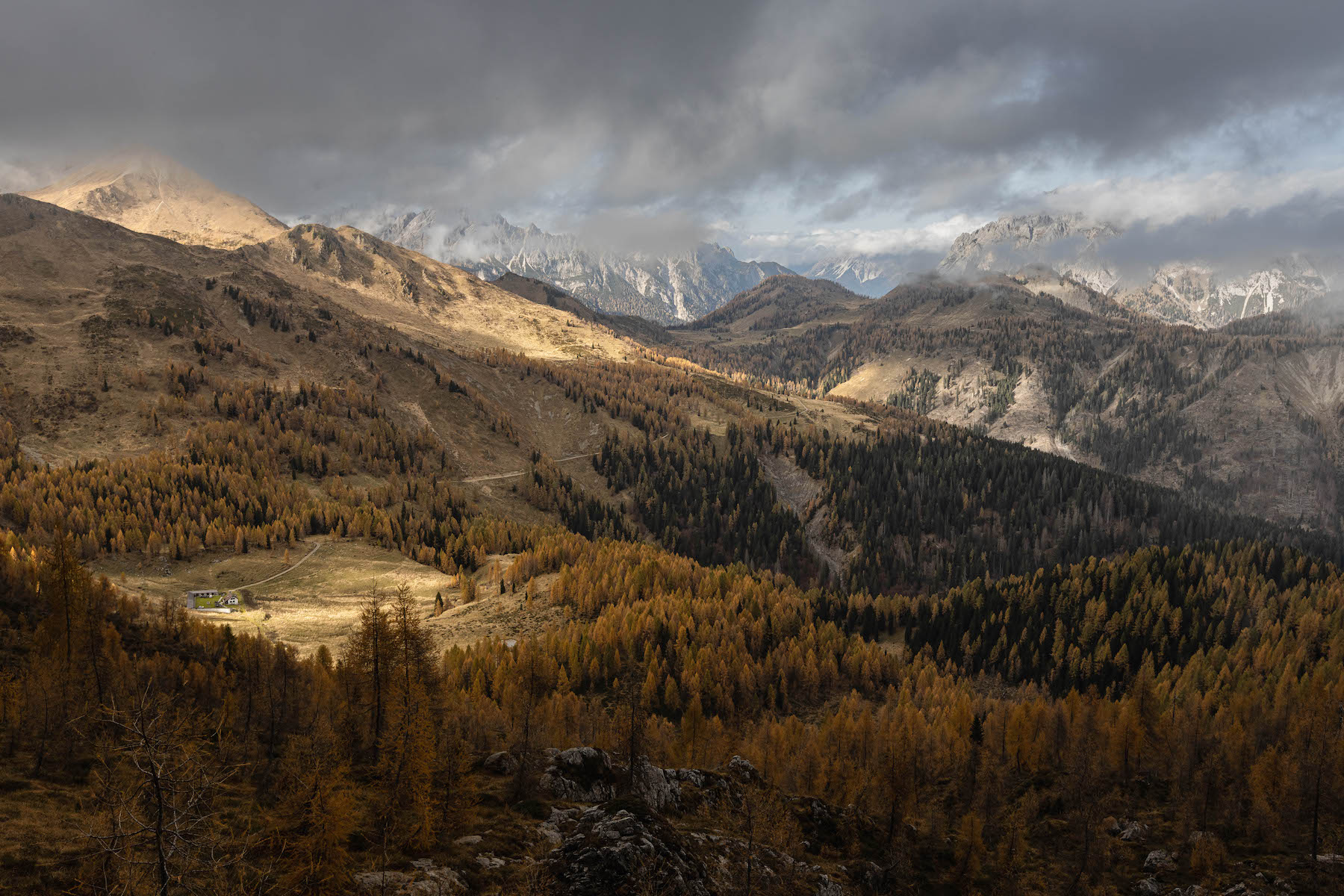 Casera Chiansaveit dal Monte Clapsavon