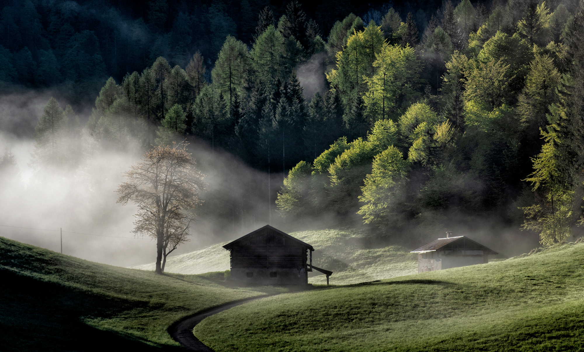 The charm of the mountain