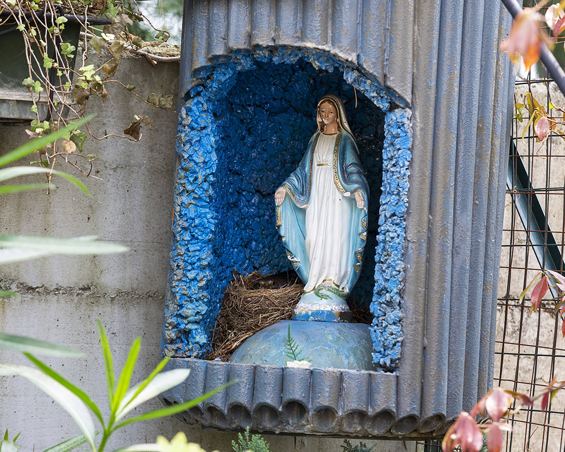 Unthinkable place for brooding of the blackbird