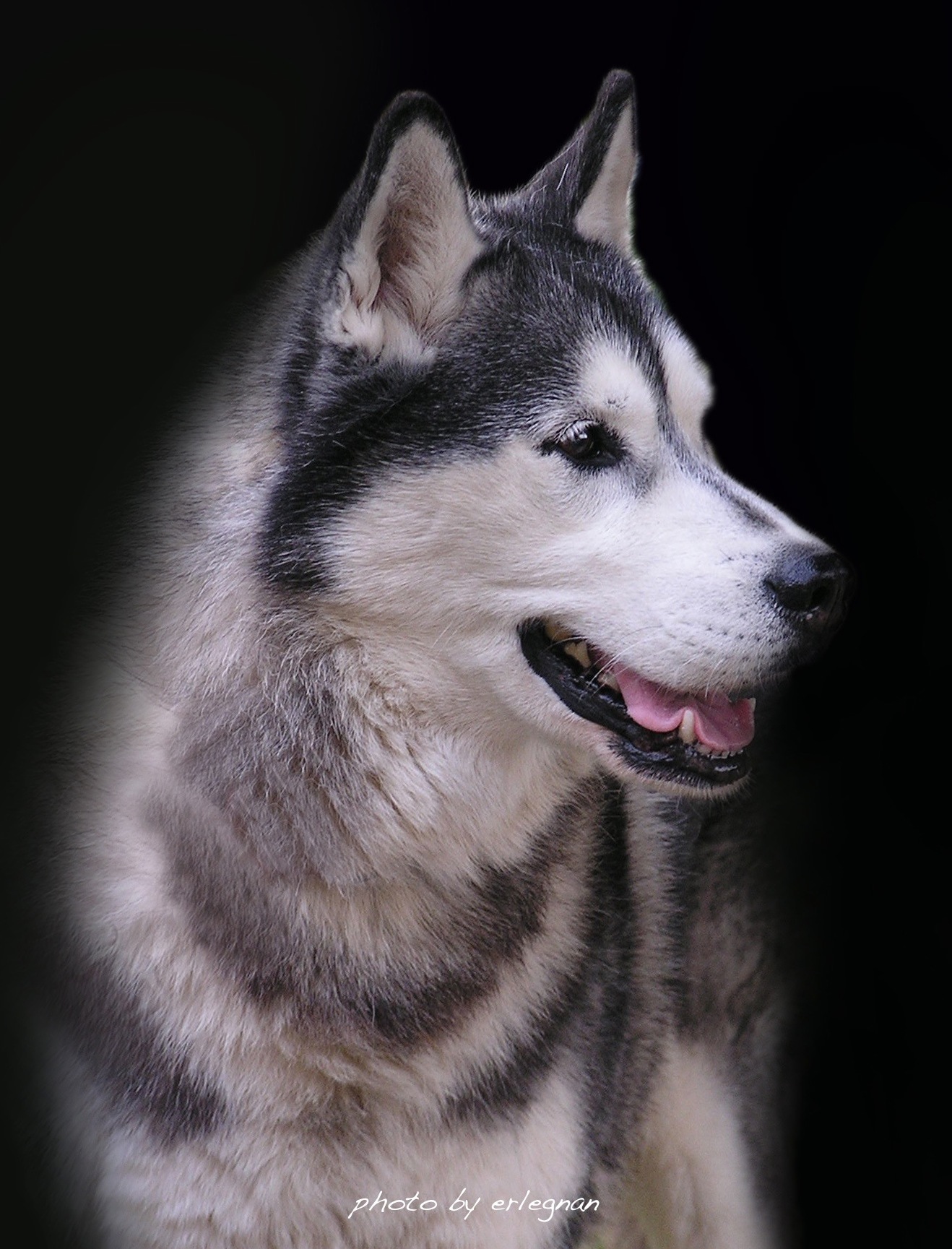 Astro