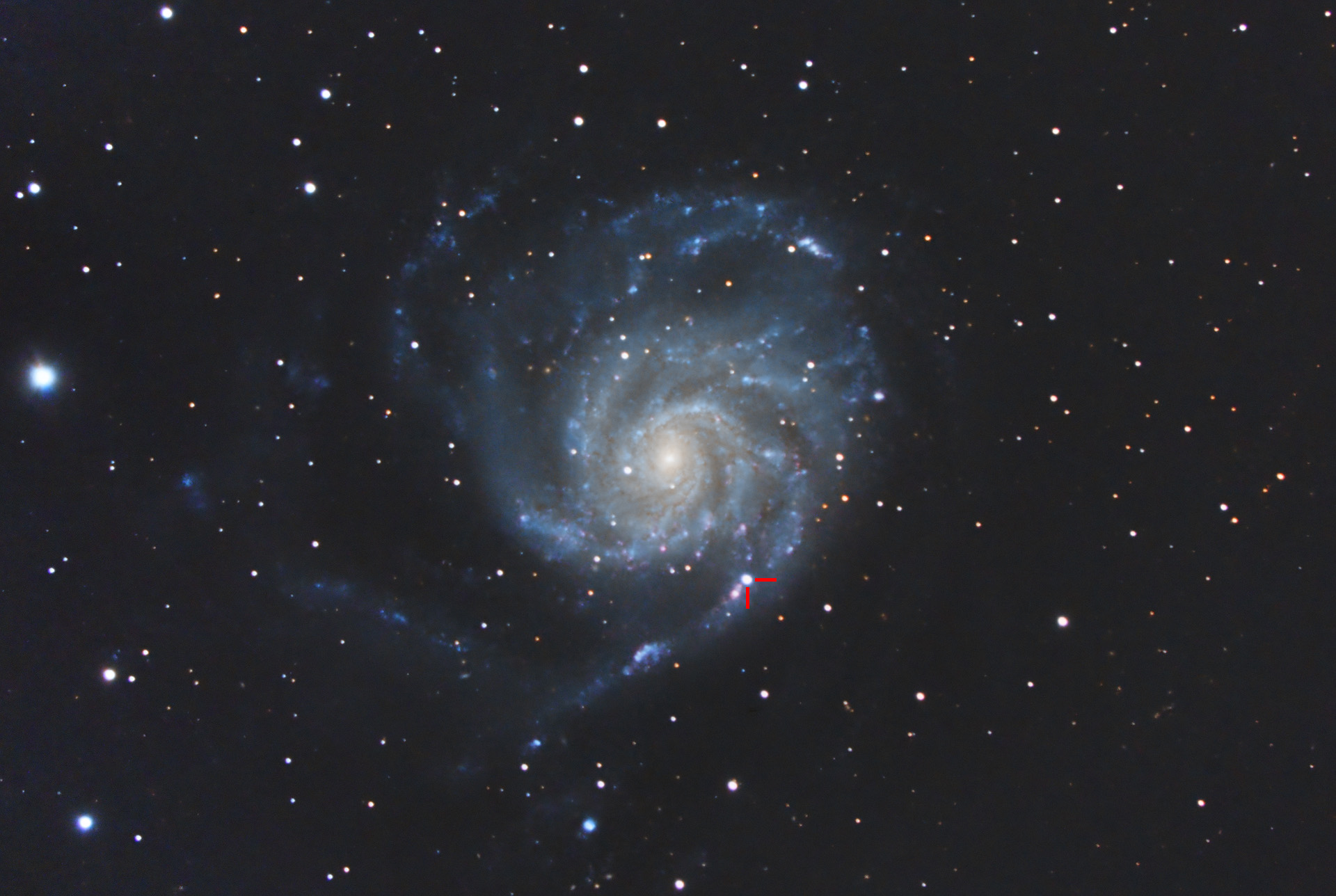 Supernova SN2023IXF in M101