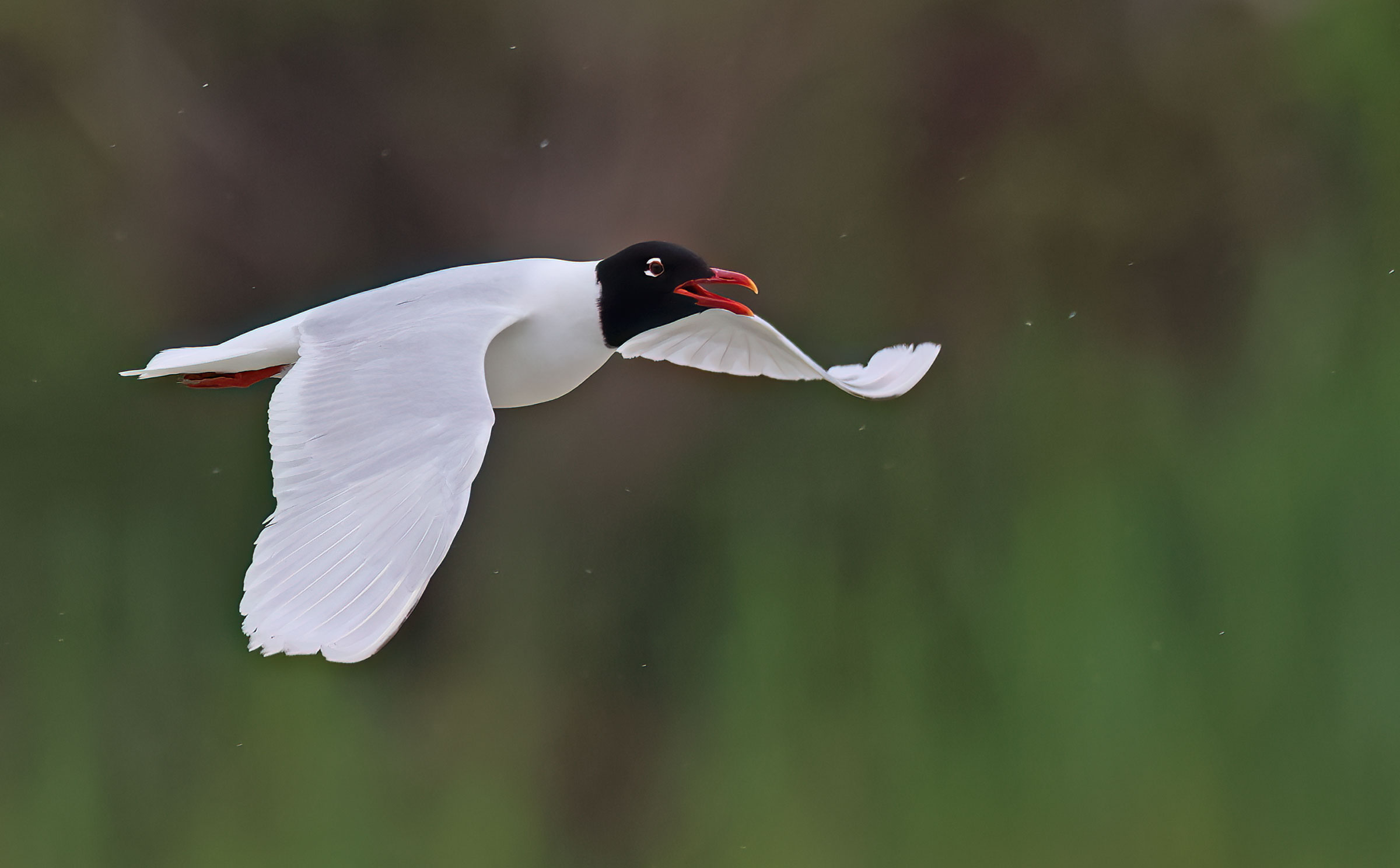 The rain falls on us...