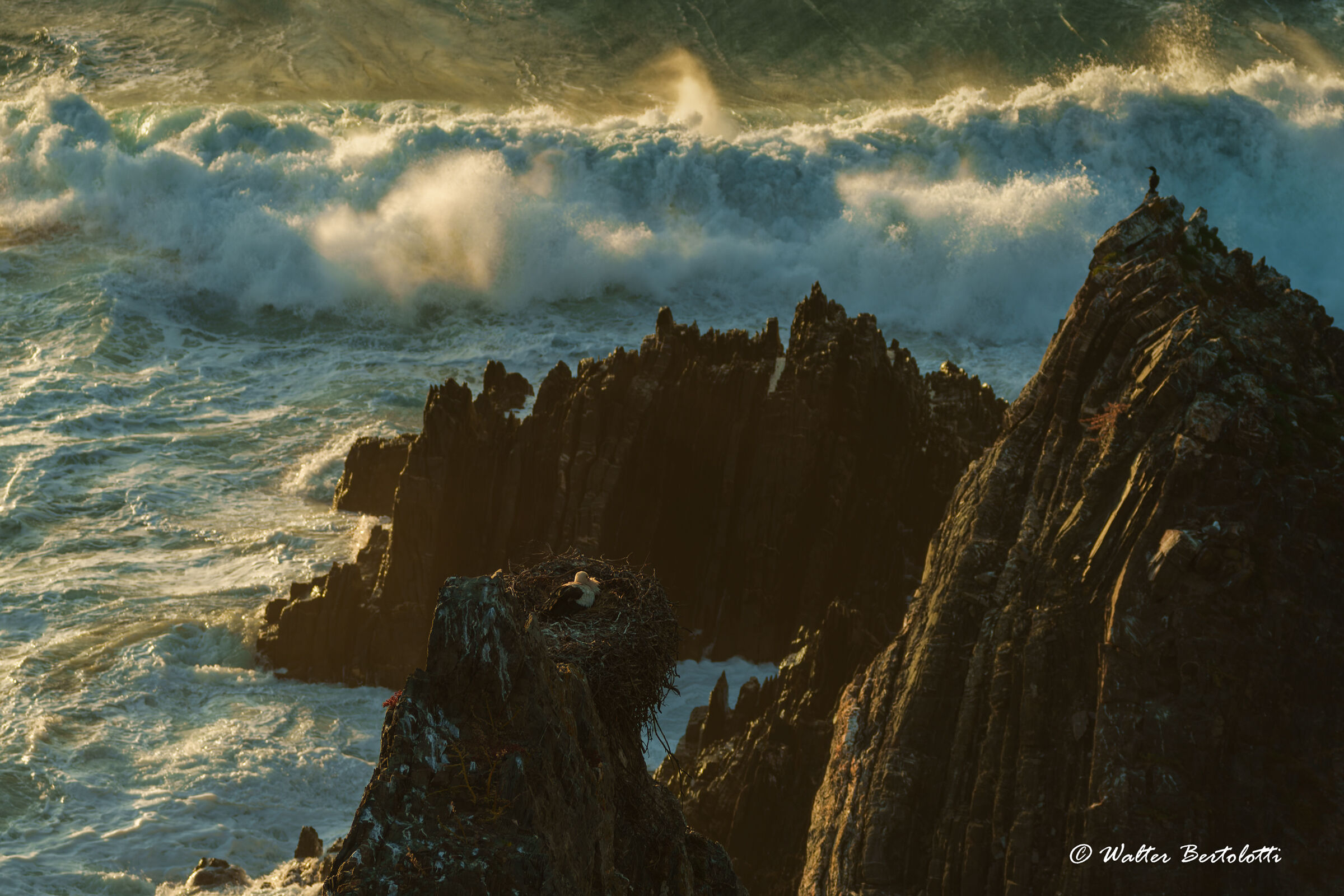 the Portuguese coast