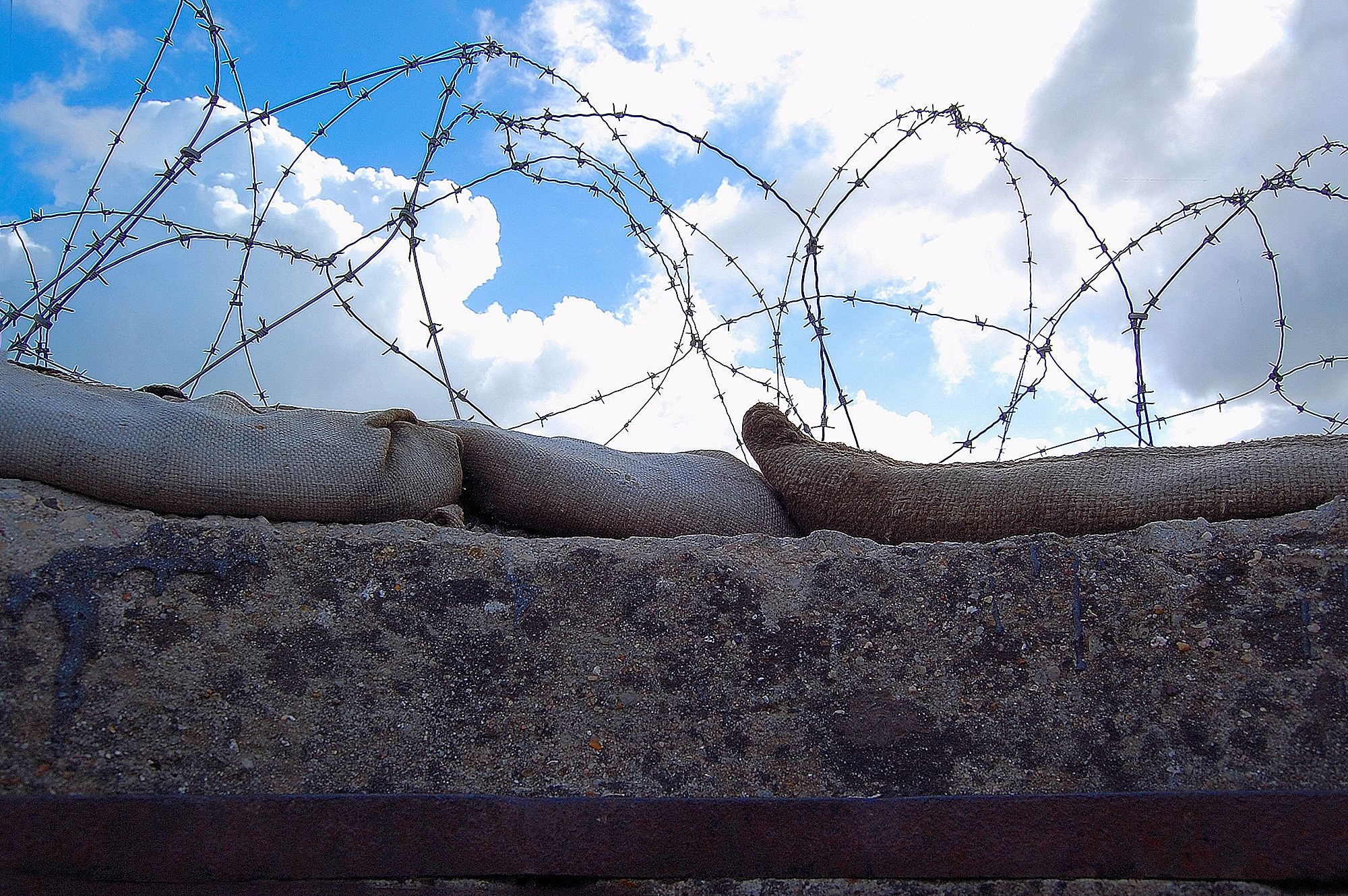 "I wish I could fly beyond the paradigms of hate"