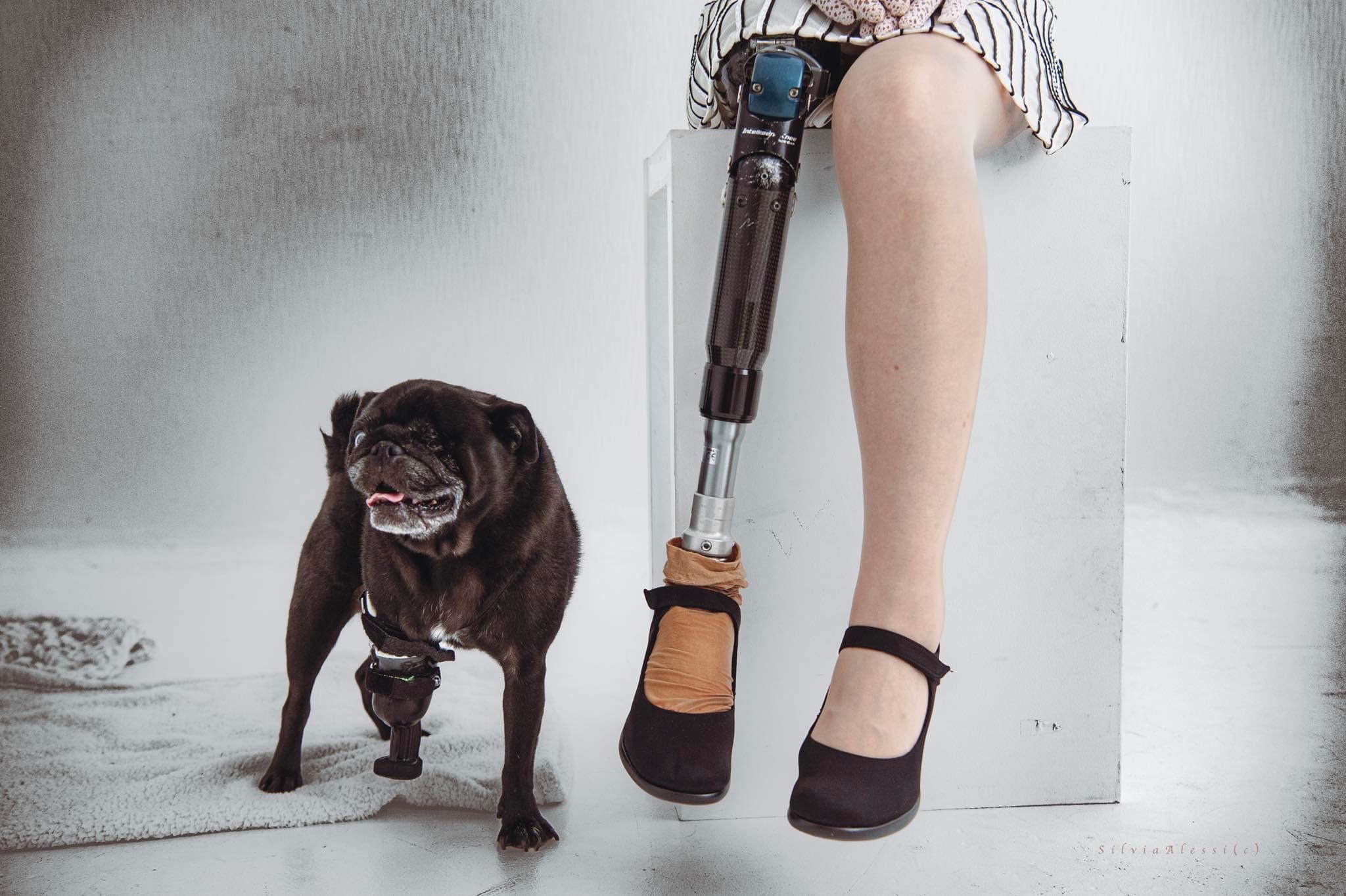 Maze of Metamorphosis project (Giappone)